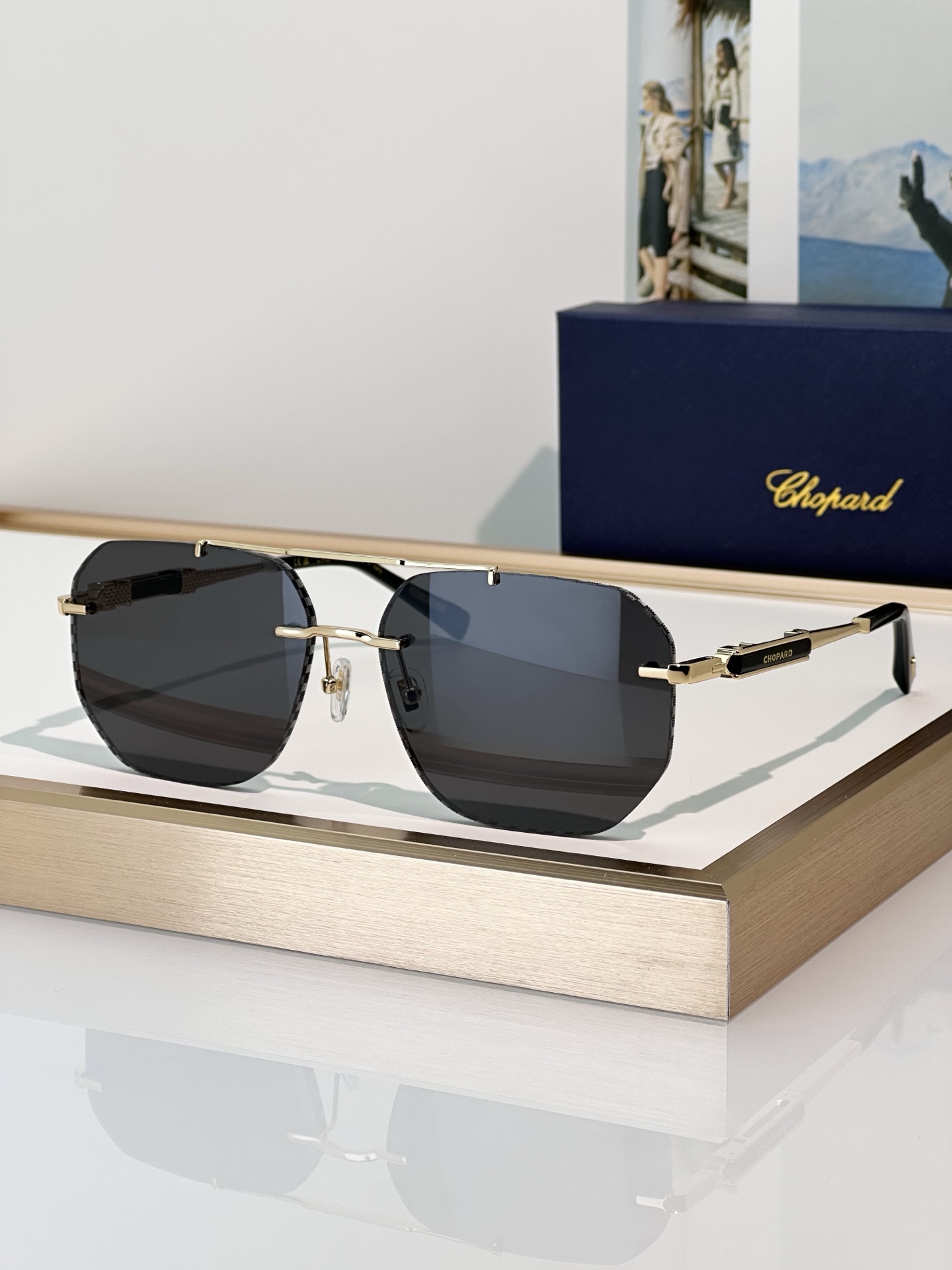 Designer Sunglasses SCHL53