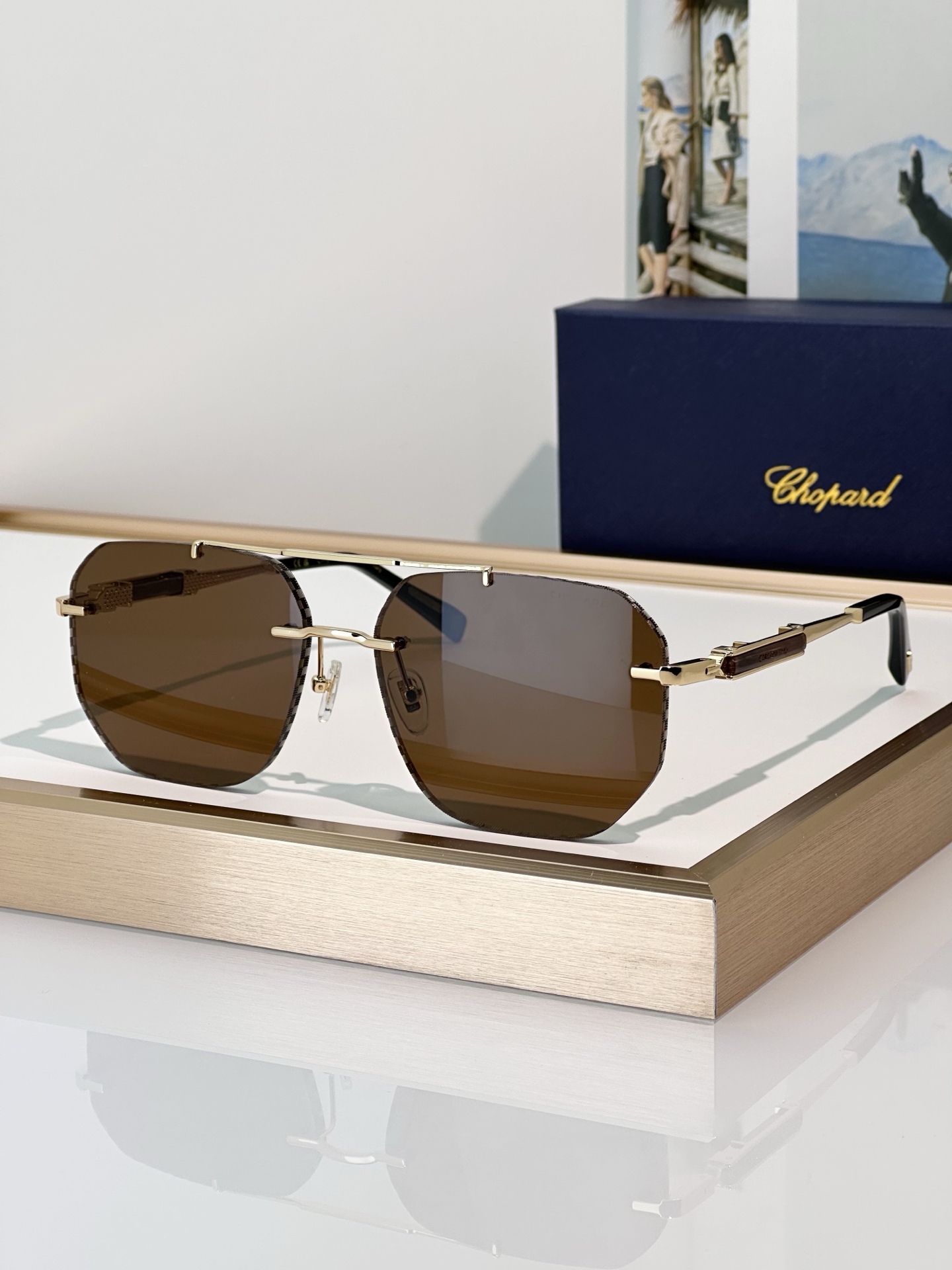 Designer Sunglasses SCHL53