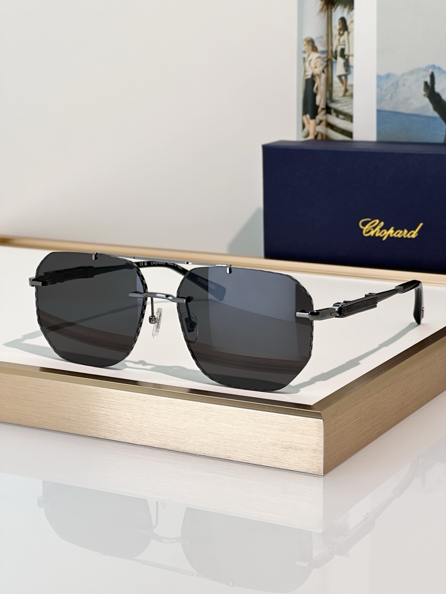 Designer Sunglasses SCHL53