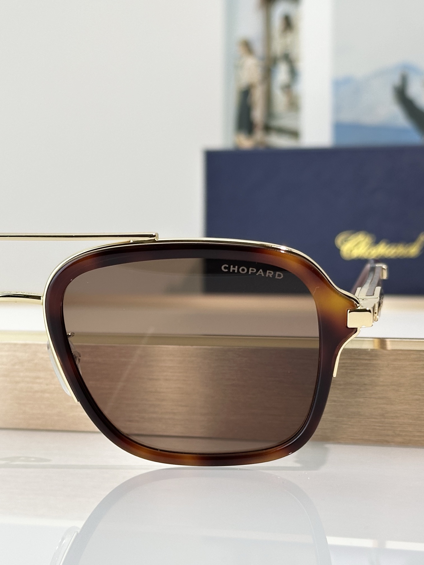 Designer Sunglasses SCHG36