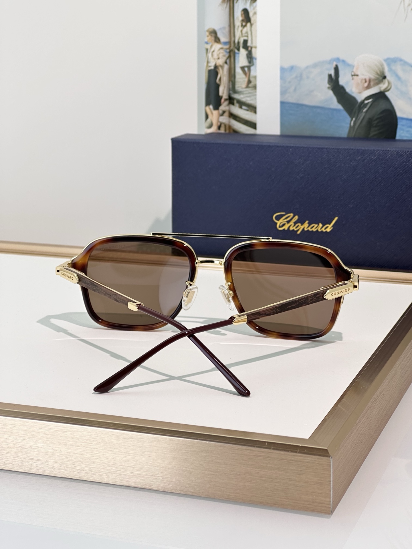 Designer Sunglasses SCHG36