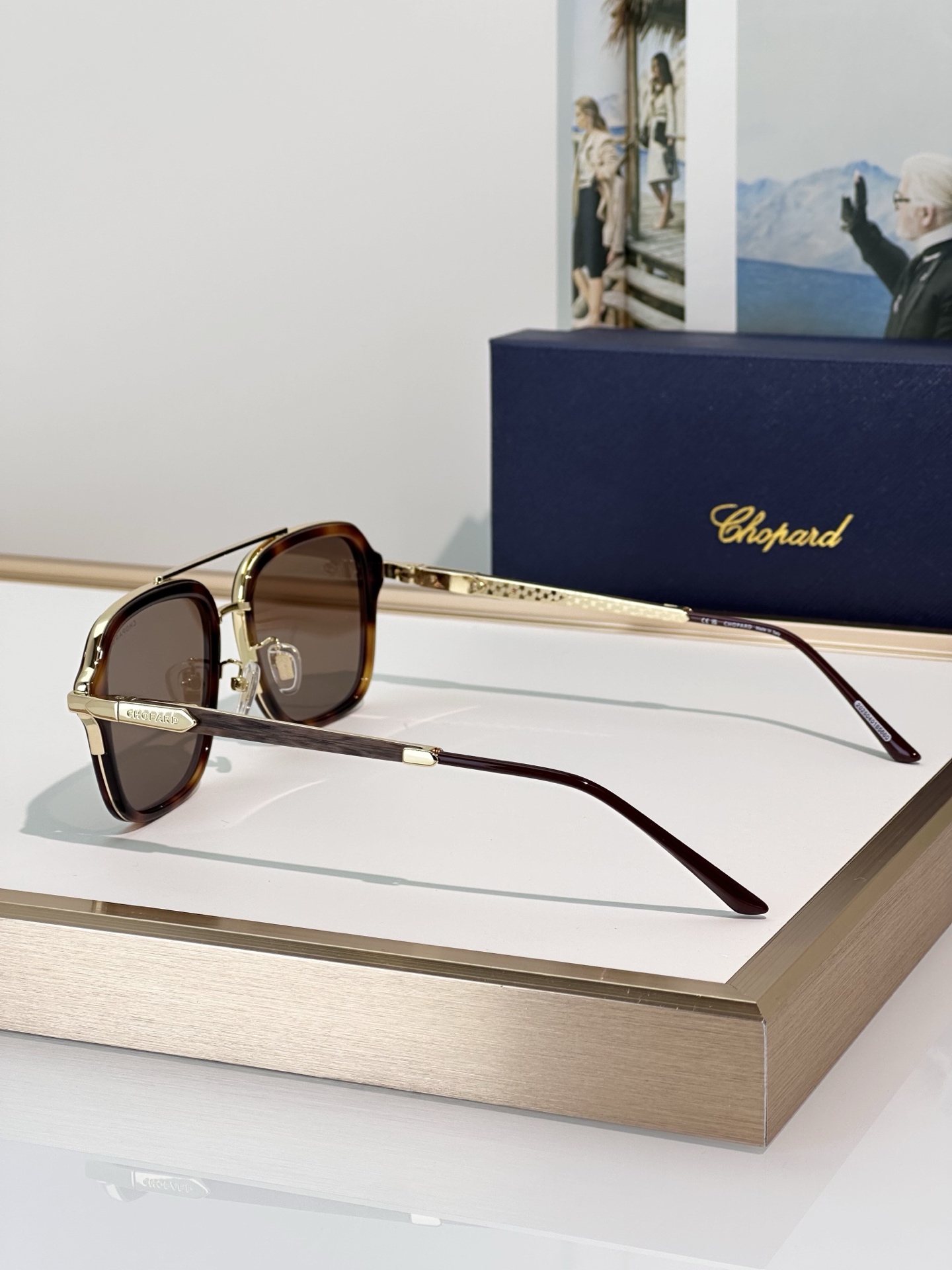 Designer Sunglasses SCHG36