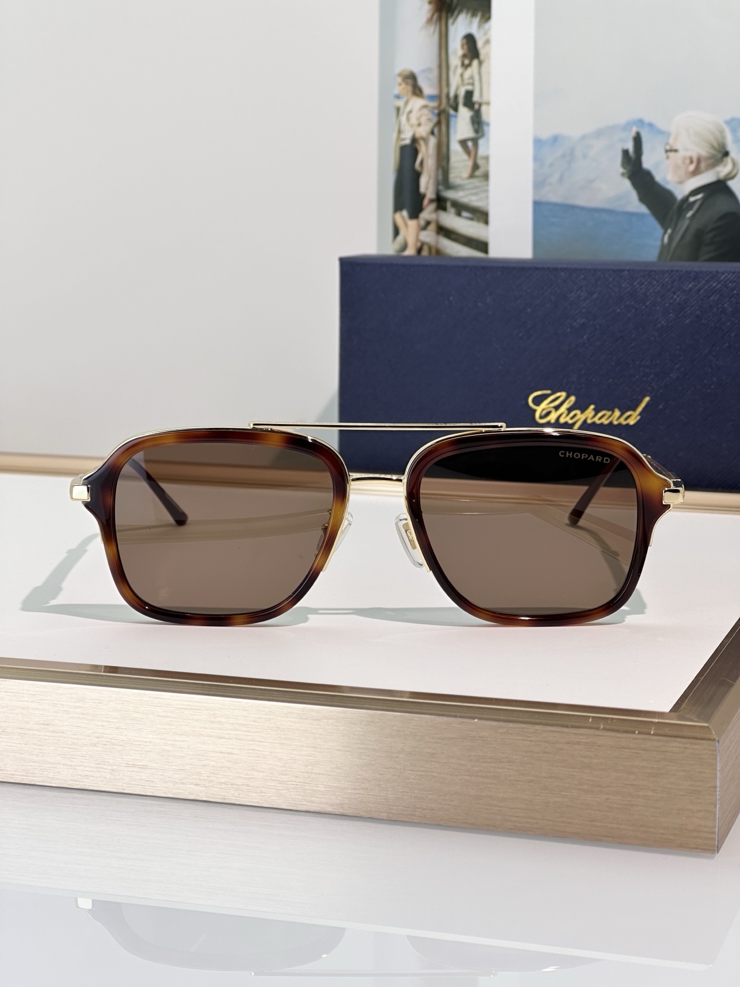 Designer Sunglasses SCHG36