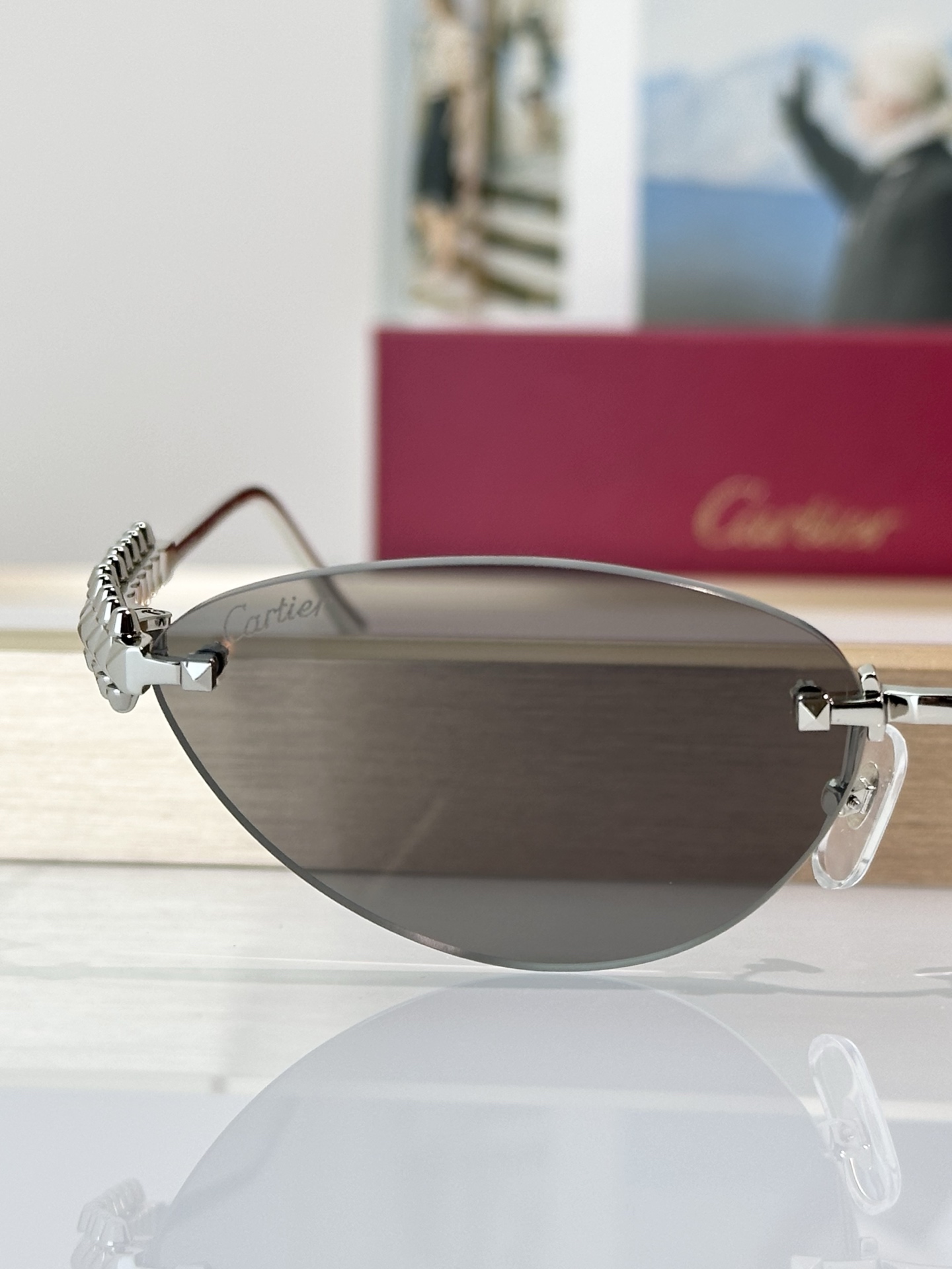 Designer Sunglasses CT0543S