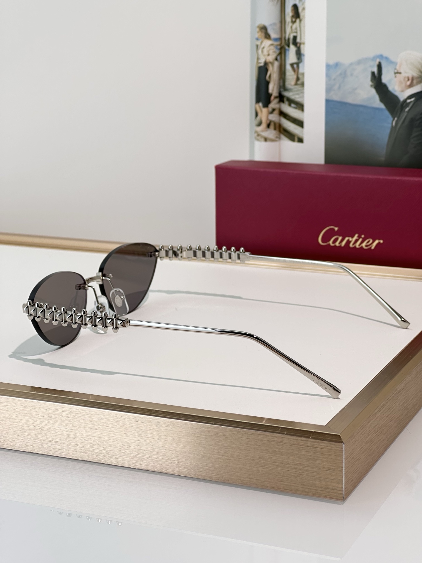 Designer Sunglasses CT0543S