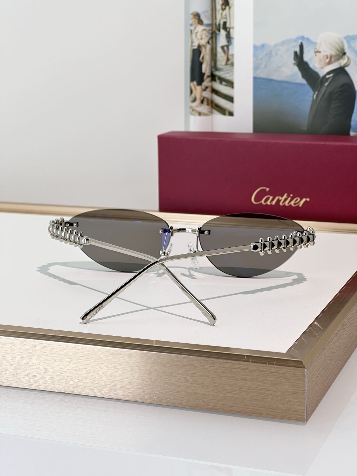 Designer Sunglasses CT0543S