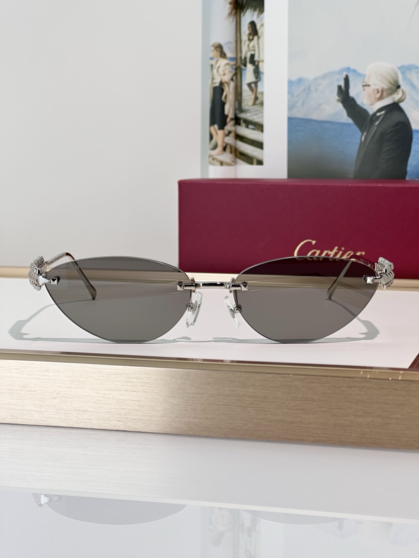 Designer Sunglasses CT0543S
