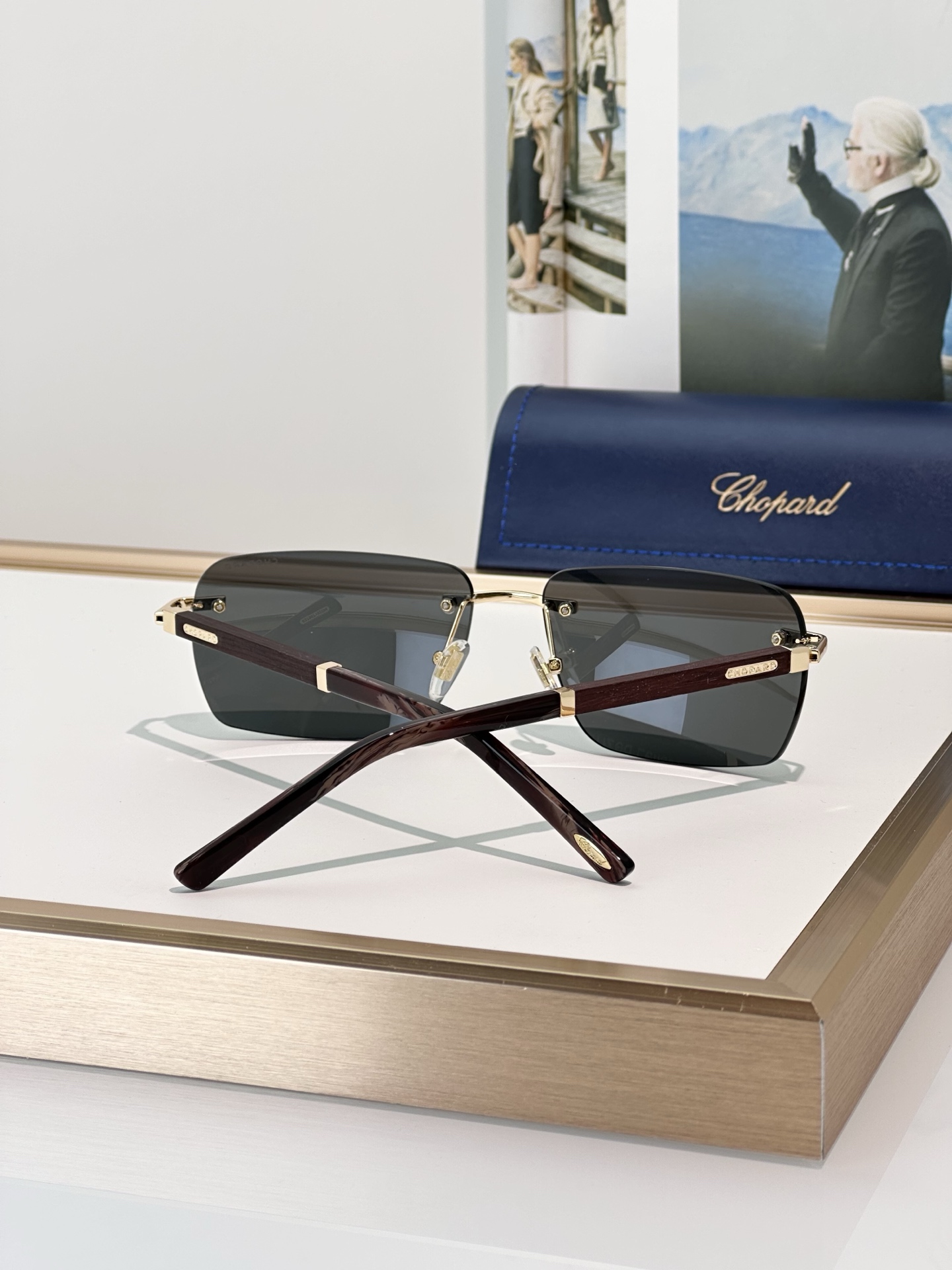 Designer Sunglasses SCHB76V