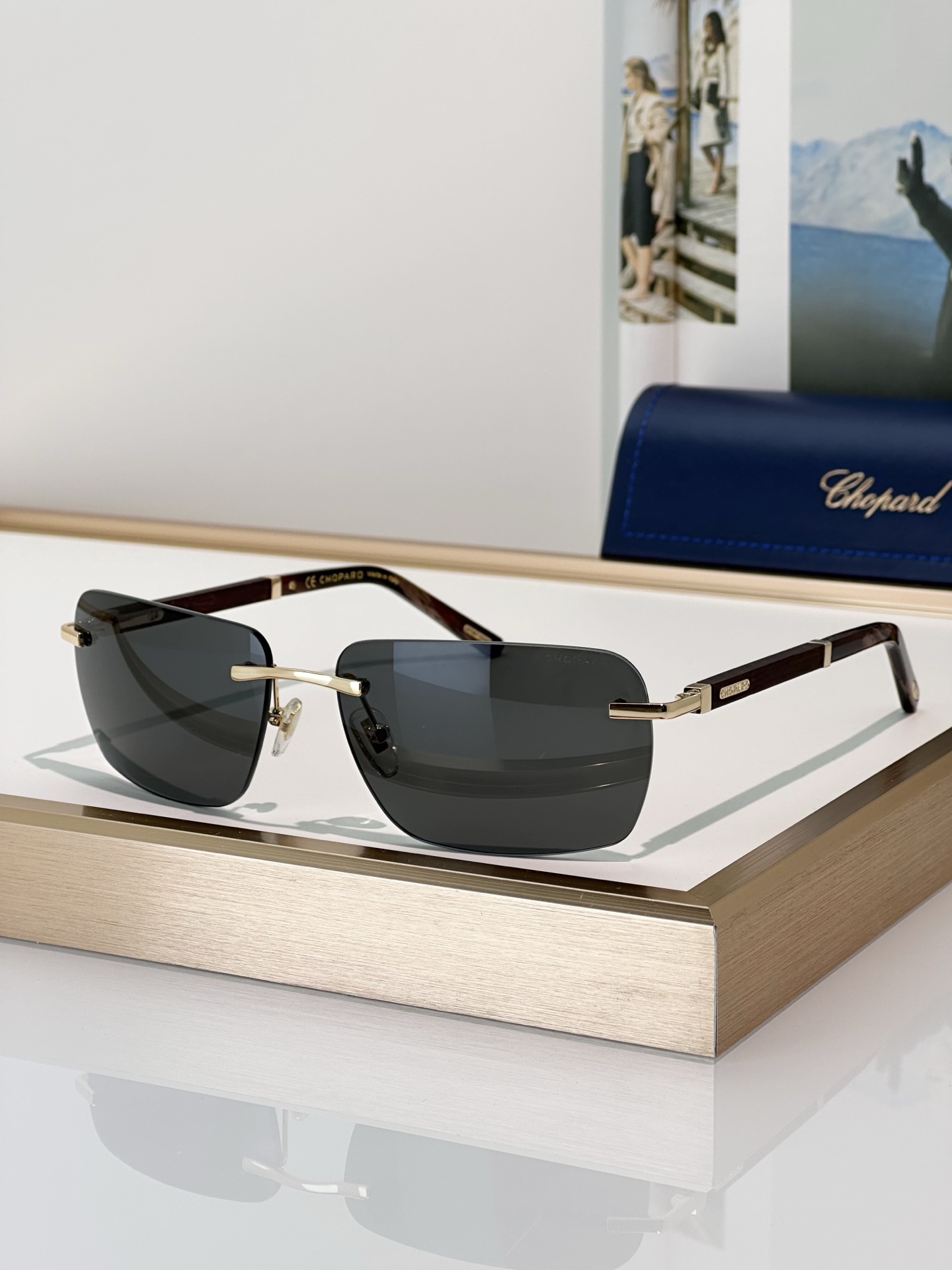 Designer Sunglasses SCHB76V
