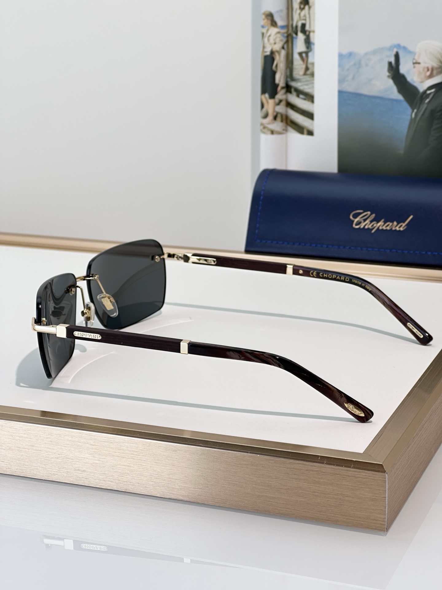 Designer Sunglasses SCHB76V