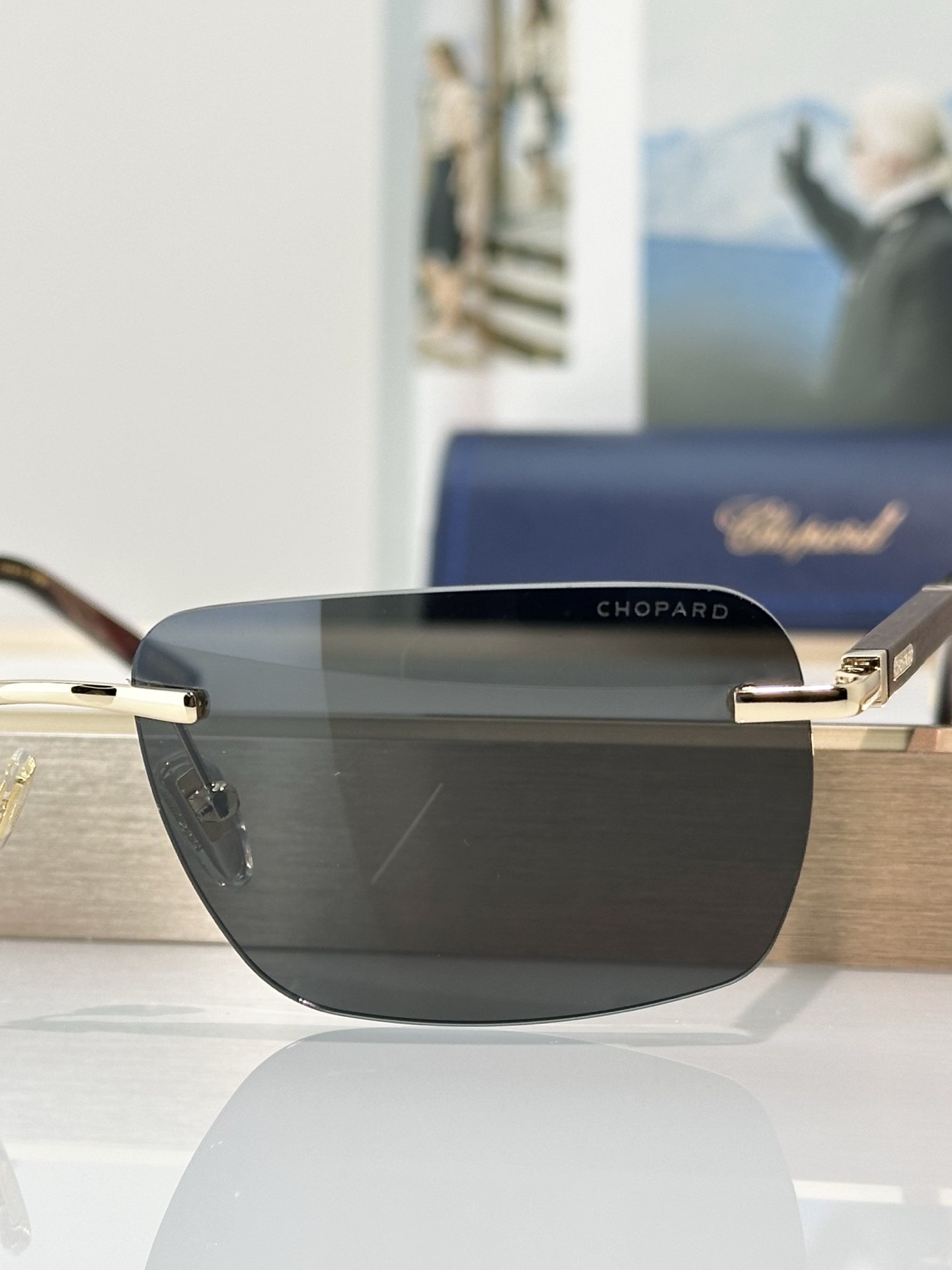 Designer Sunglasses SCHB76V