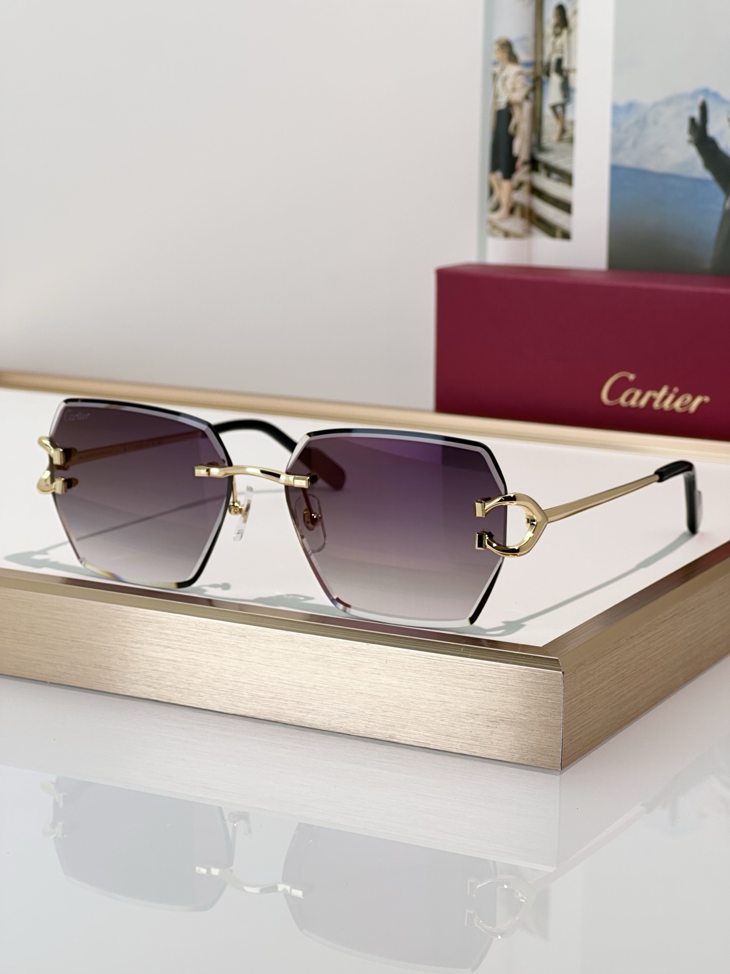 Designer Sunglasses CT0466S
