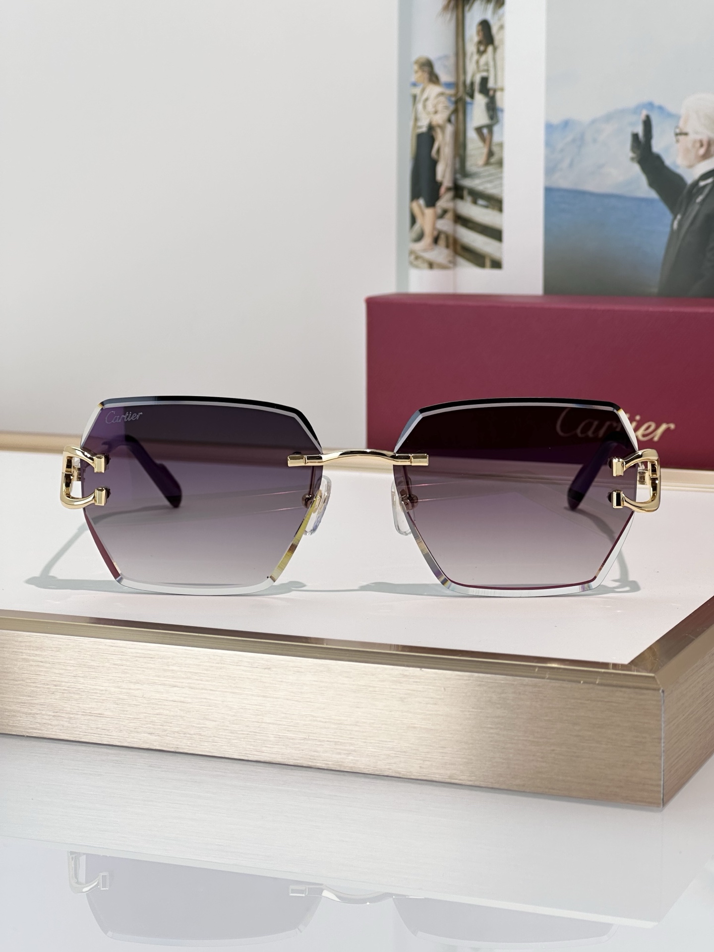 Designer Sunglasses CT0466S