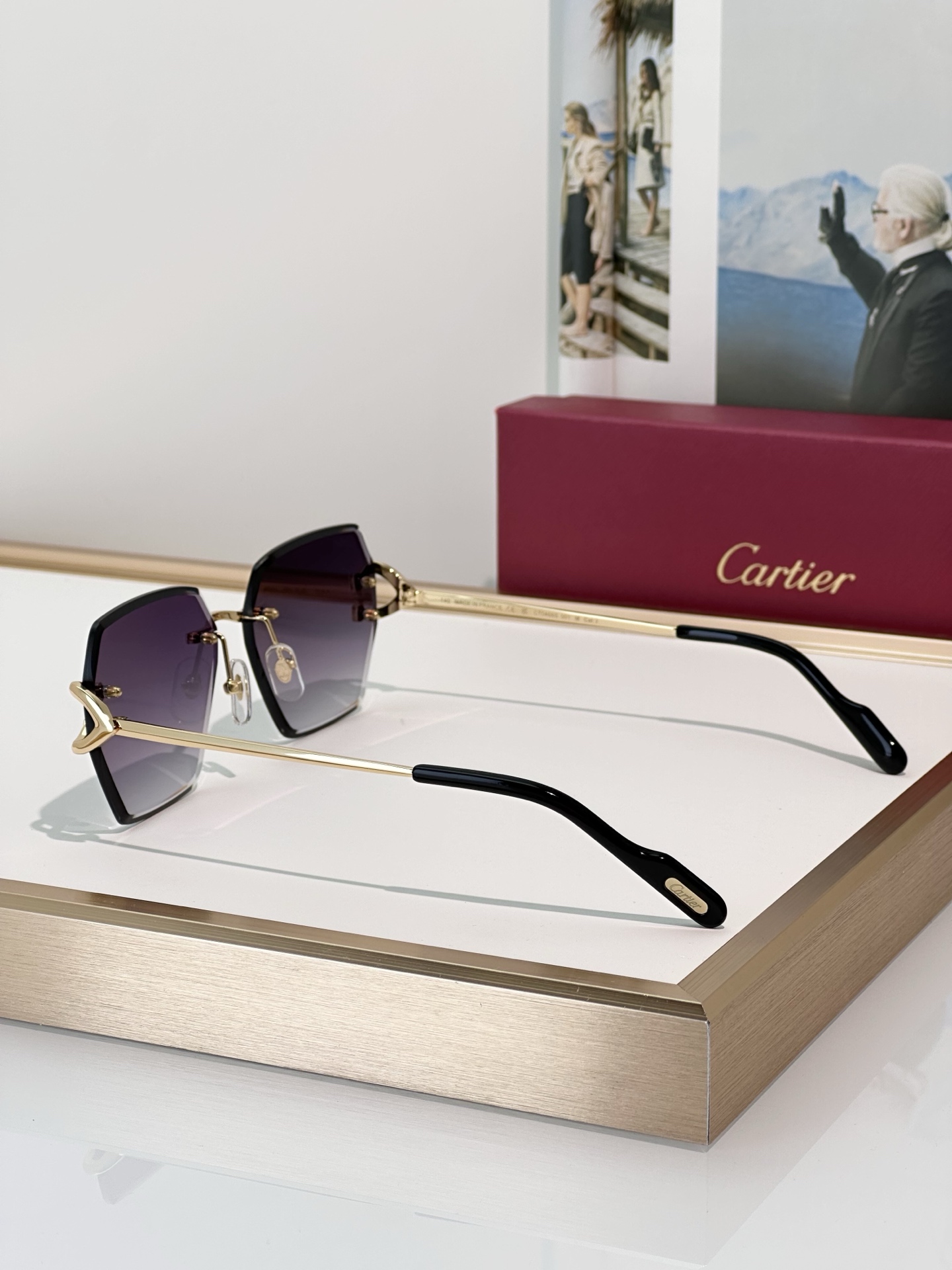 Designer Sunglasses CT0466S