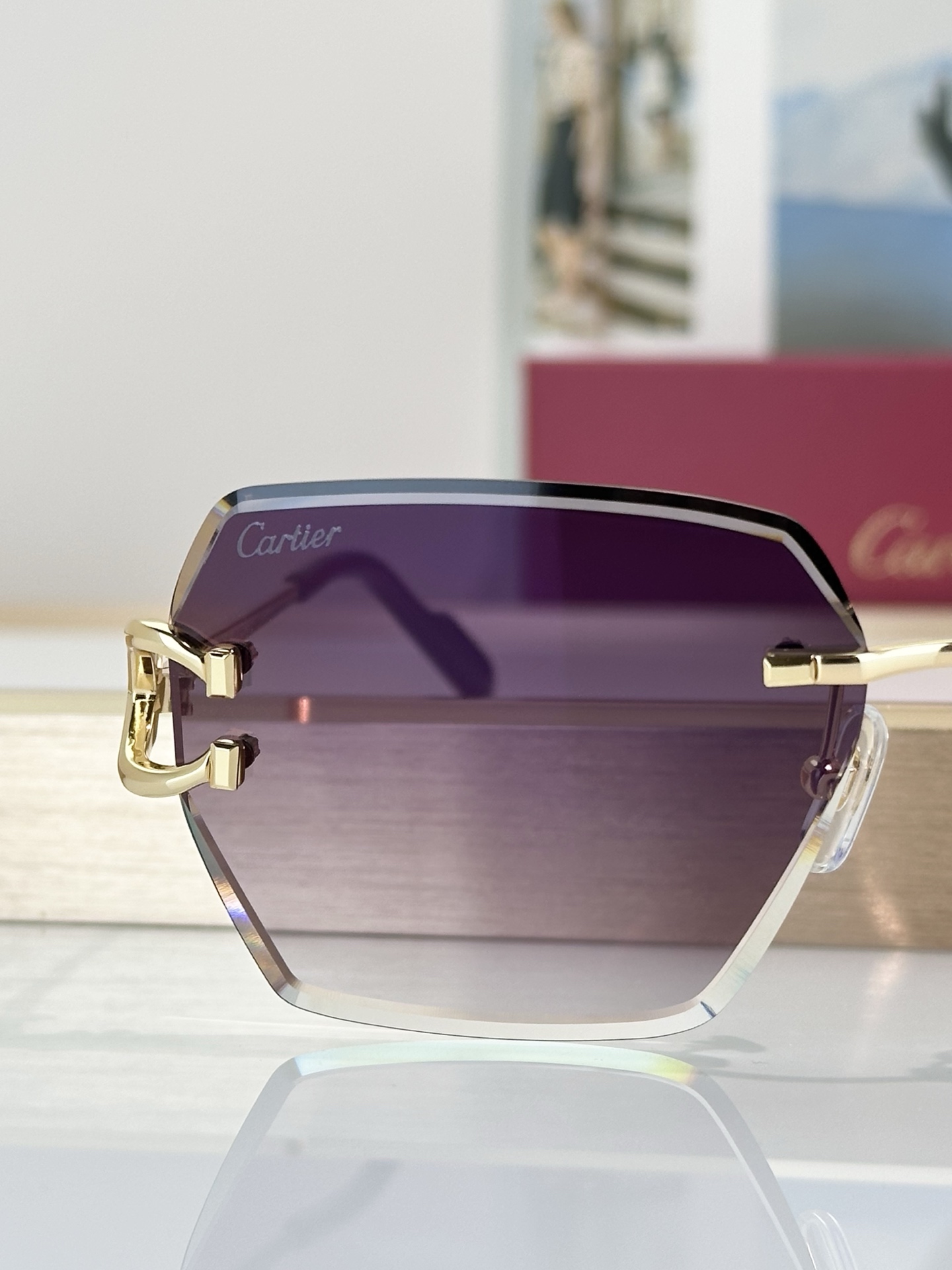 Designer Sunglasses CT0466S