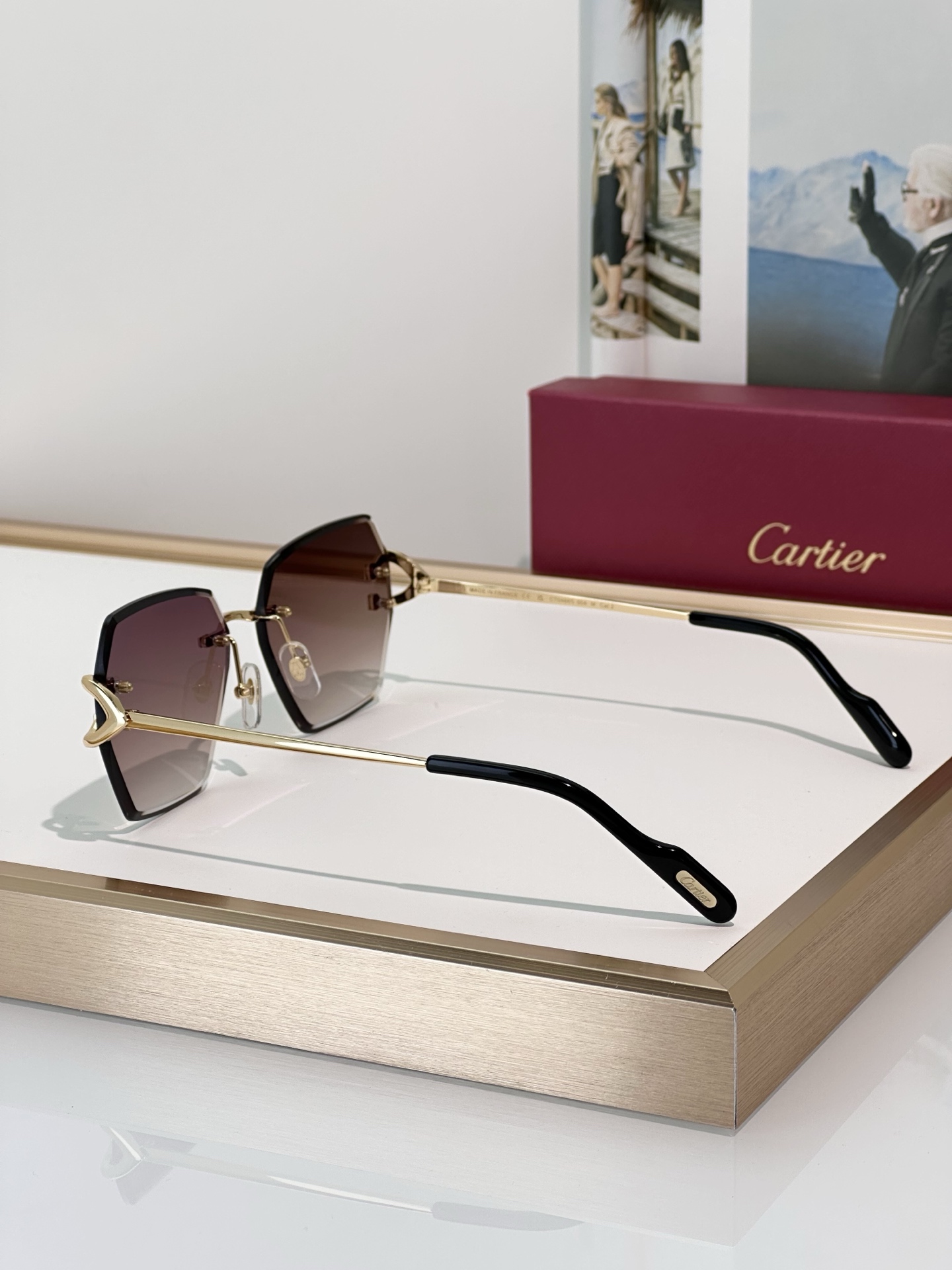 Designer Sunglasses CT0466S