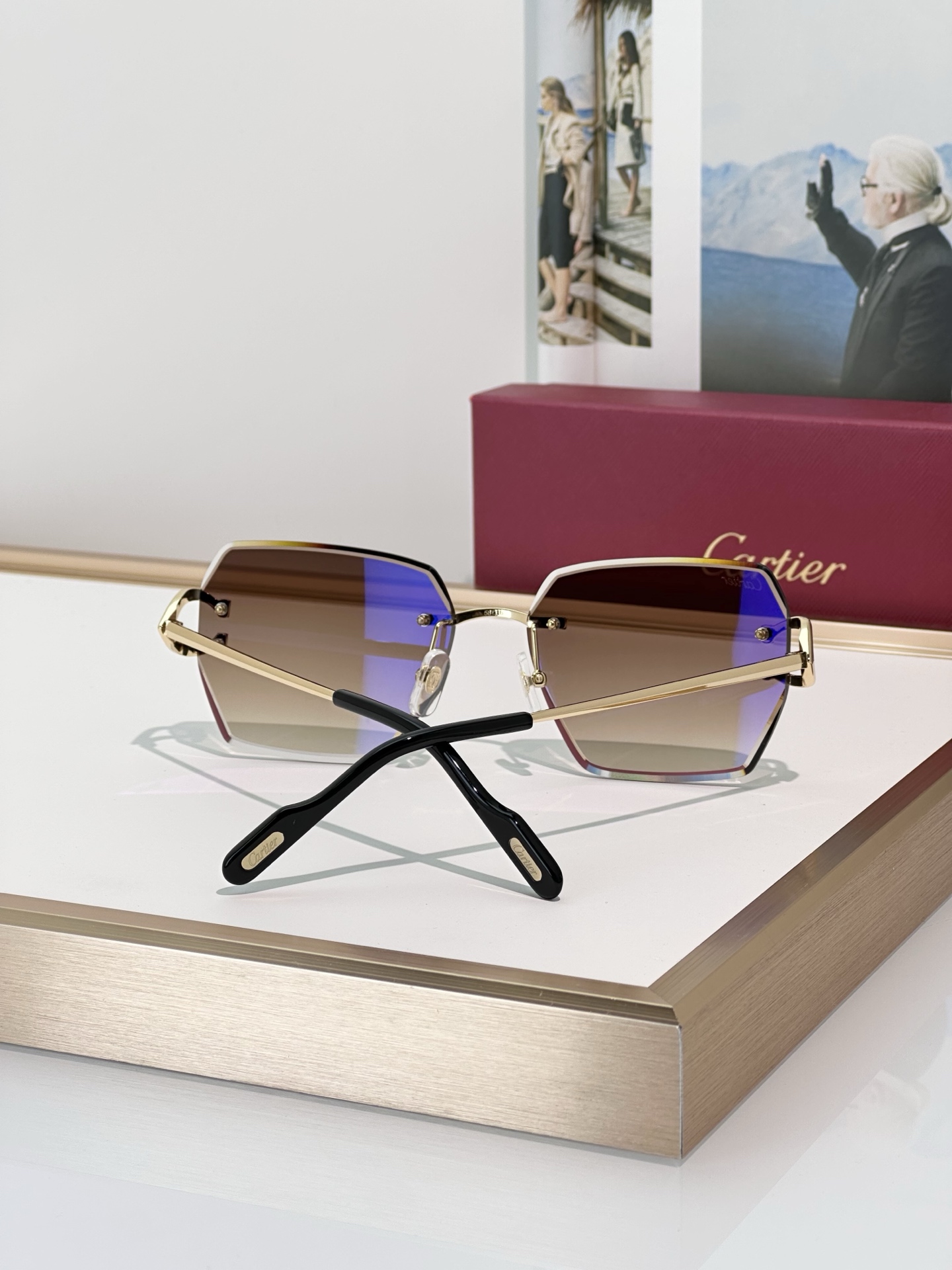 Designer Sunglasses CT0466S