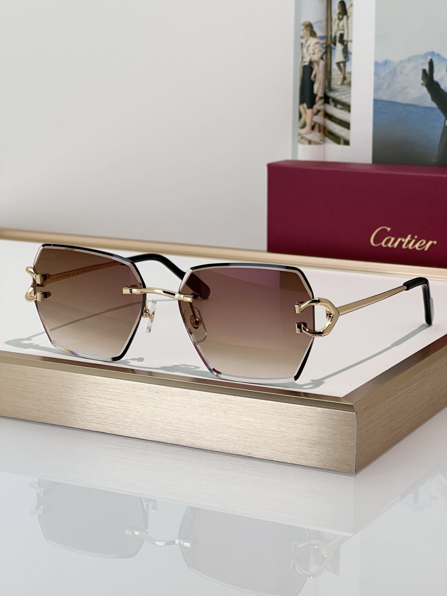 Designer Sunglasses CT0466S
