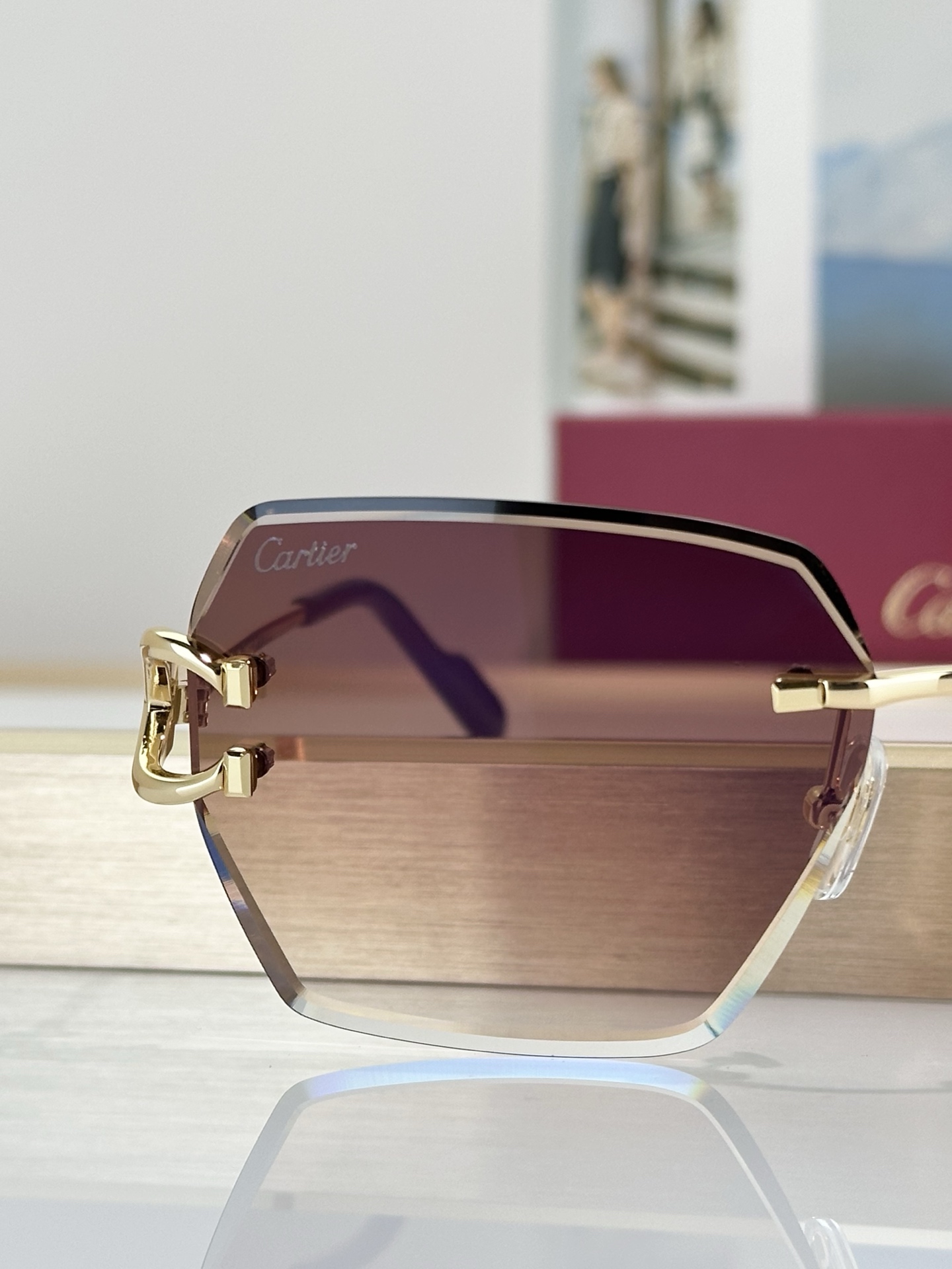 Designer Sunglasses CT0466S