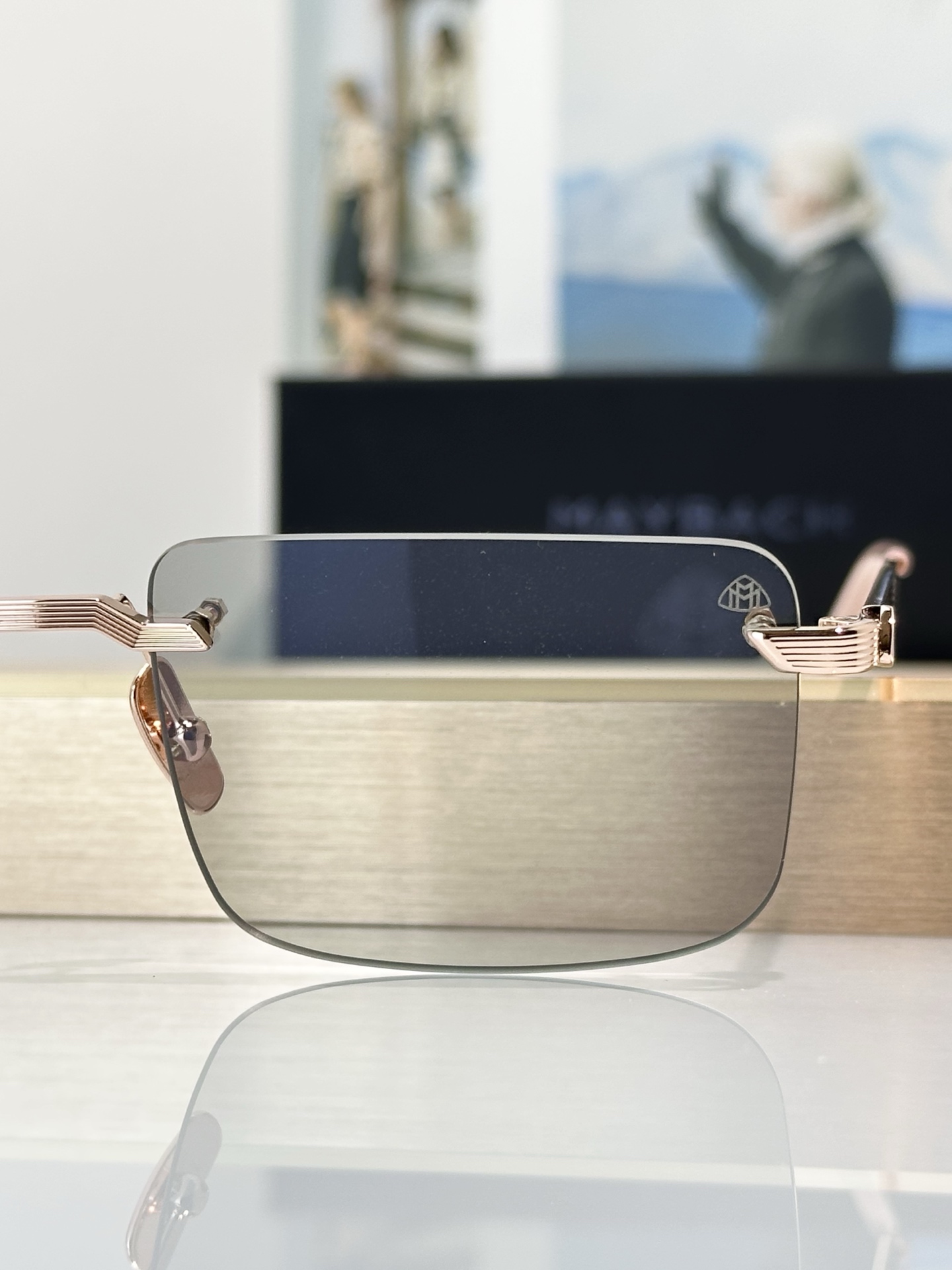 Designer Sunglasses THE
