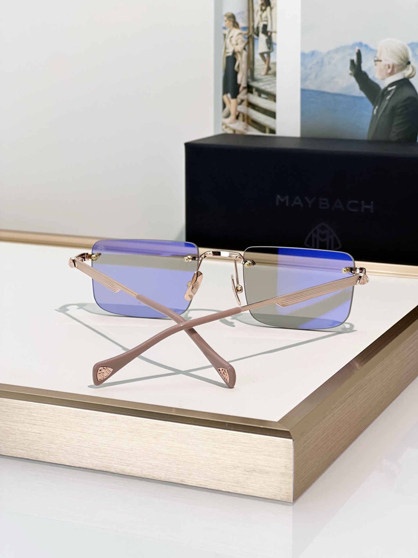 Designer Sunglasses THE
