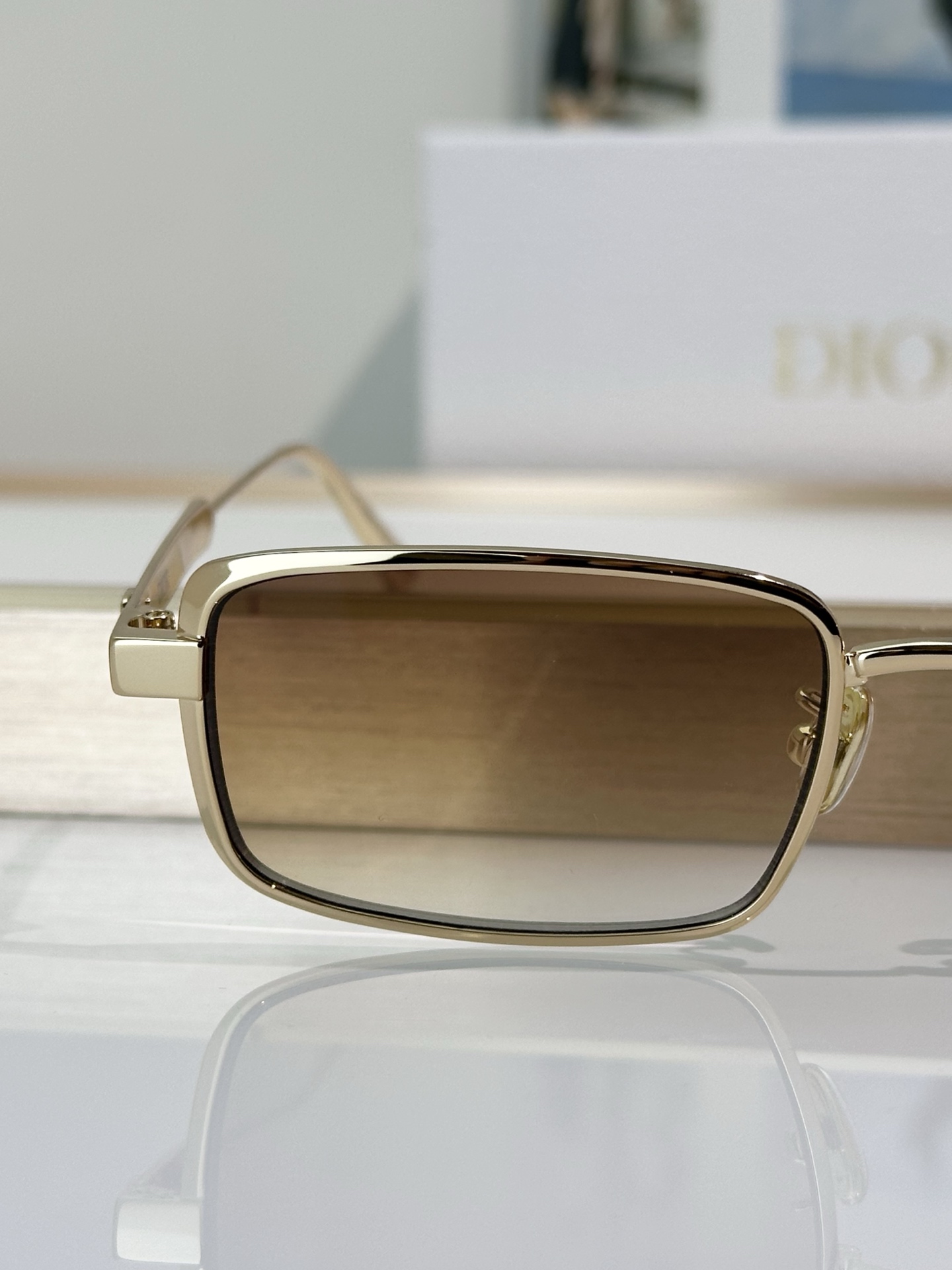 Dior Sunglasses DiorCannage