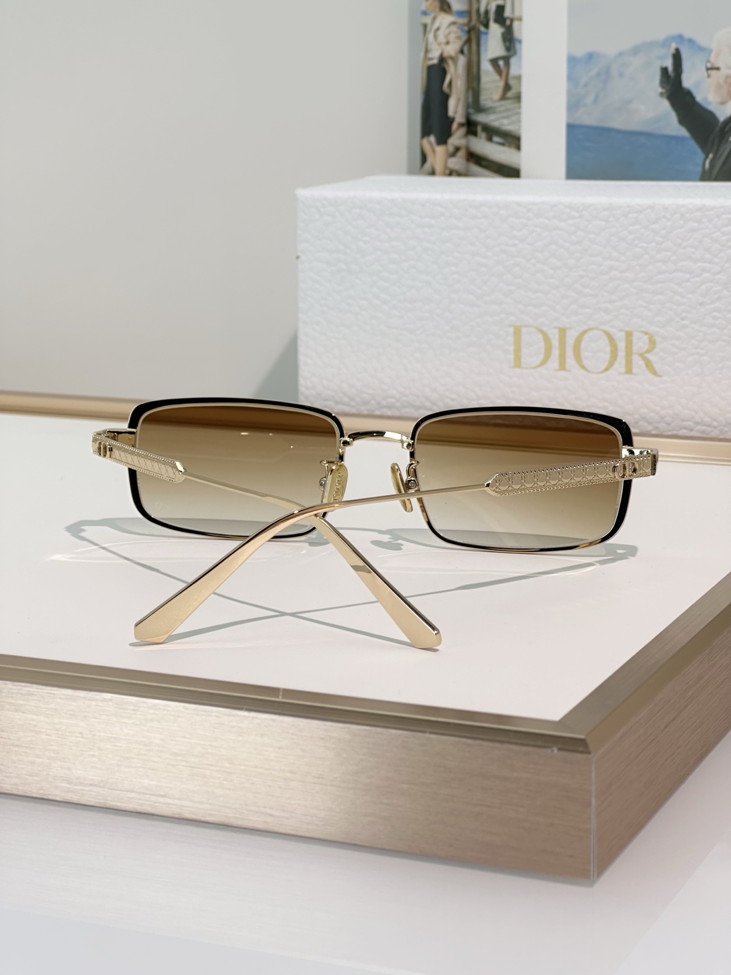 Dior Sunglasses DiorCannage