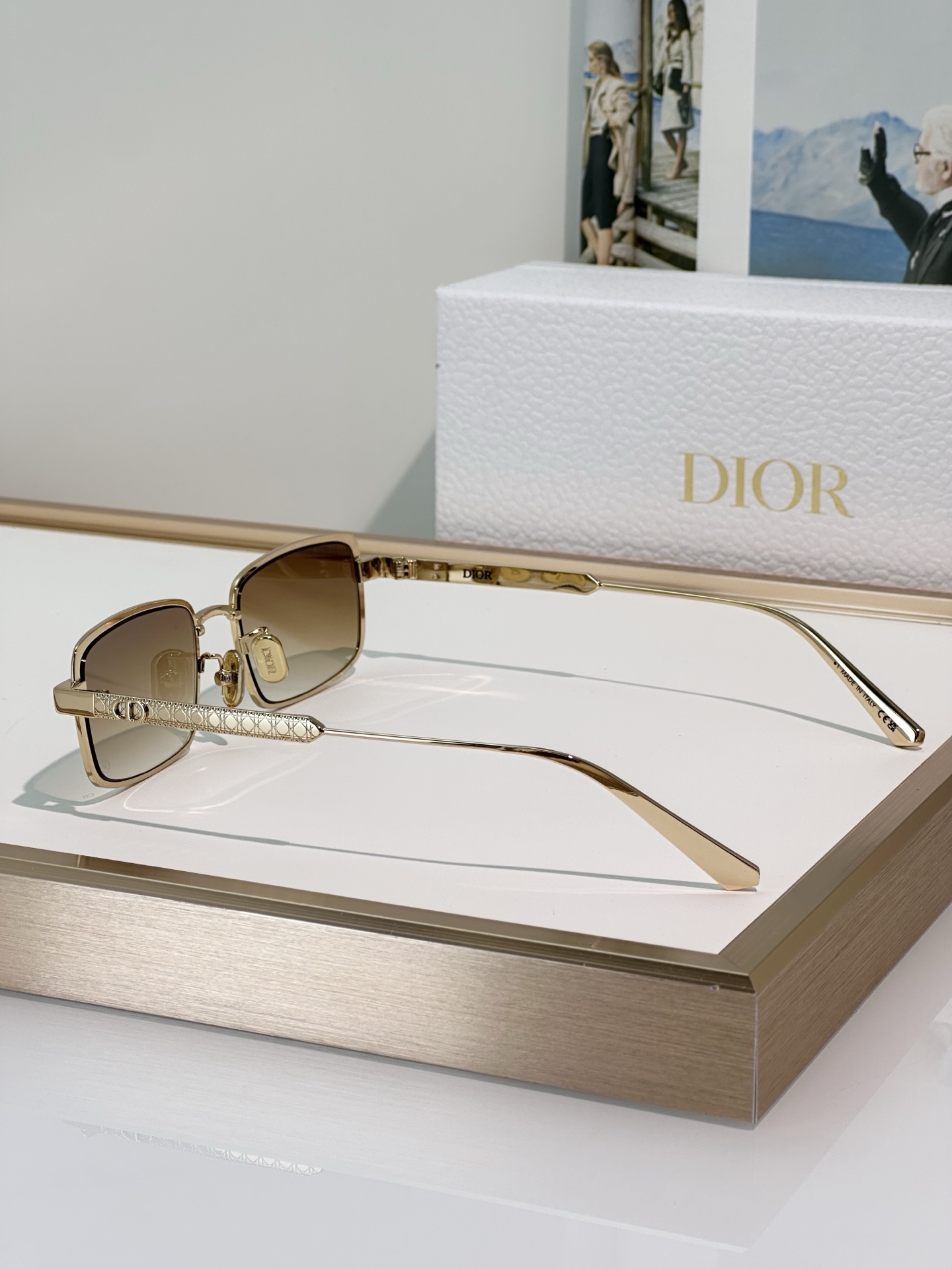 Dior Sunglasses DiorCannage