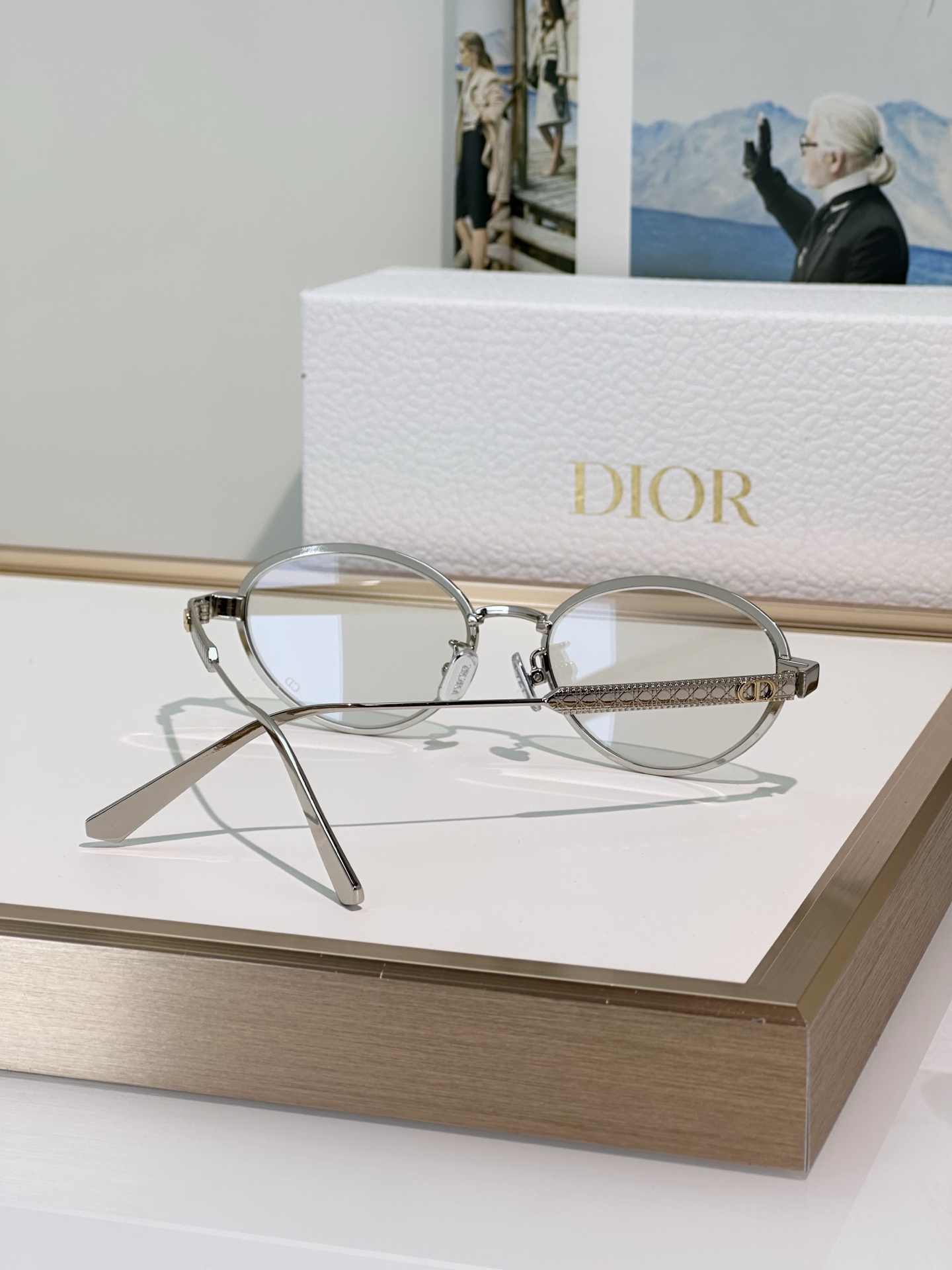 Dior Sunglasses DiorCannage