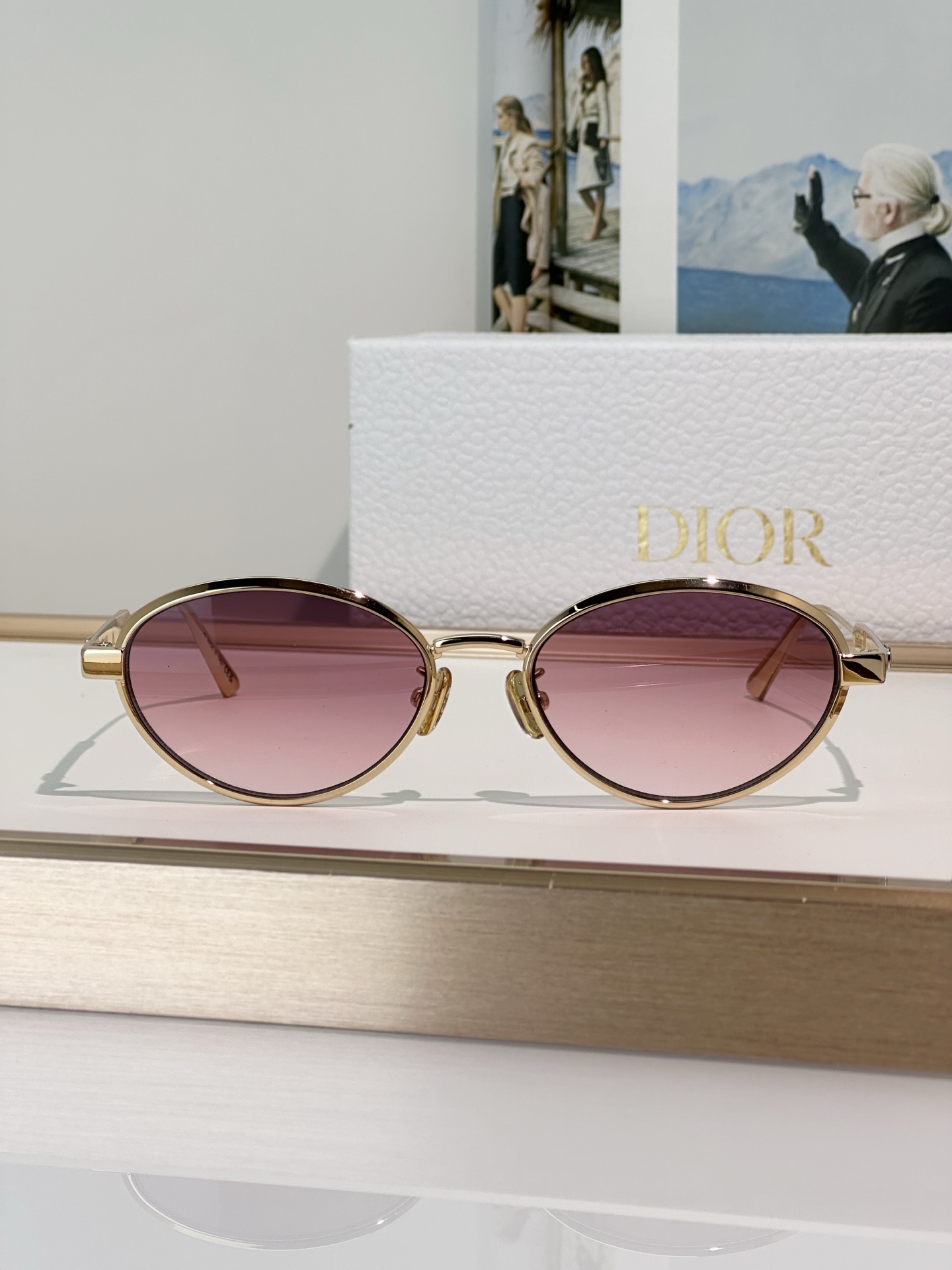 Dior Sunglasses DiorCannage