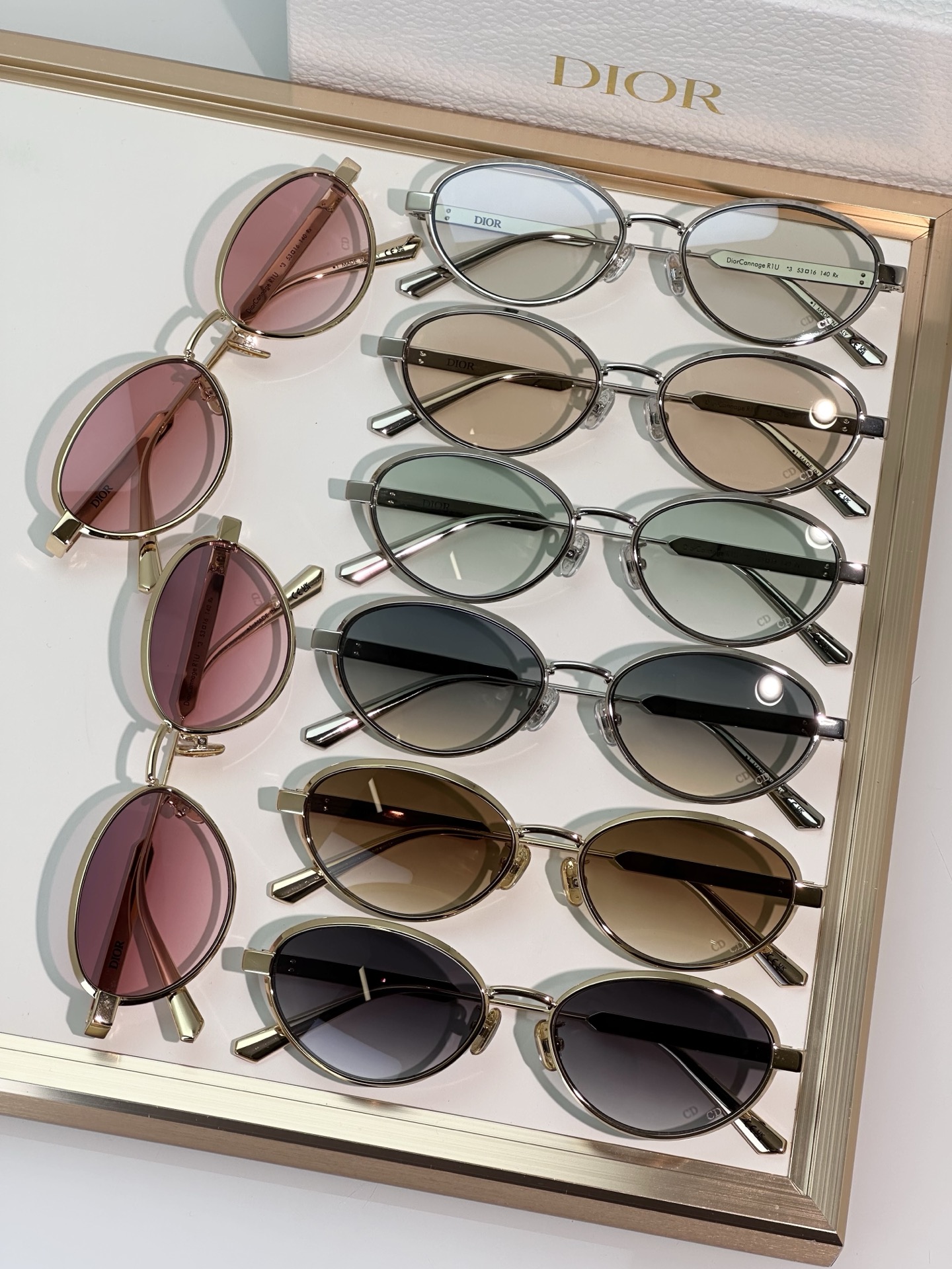 Dior Sunglasses DiorCannage