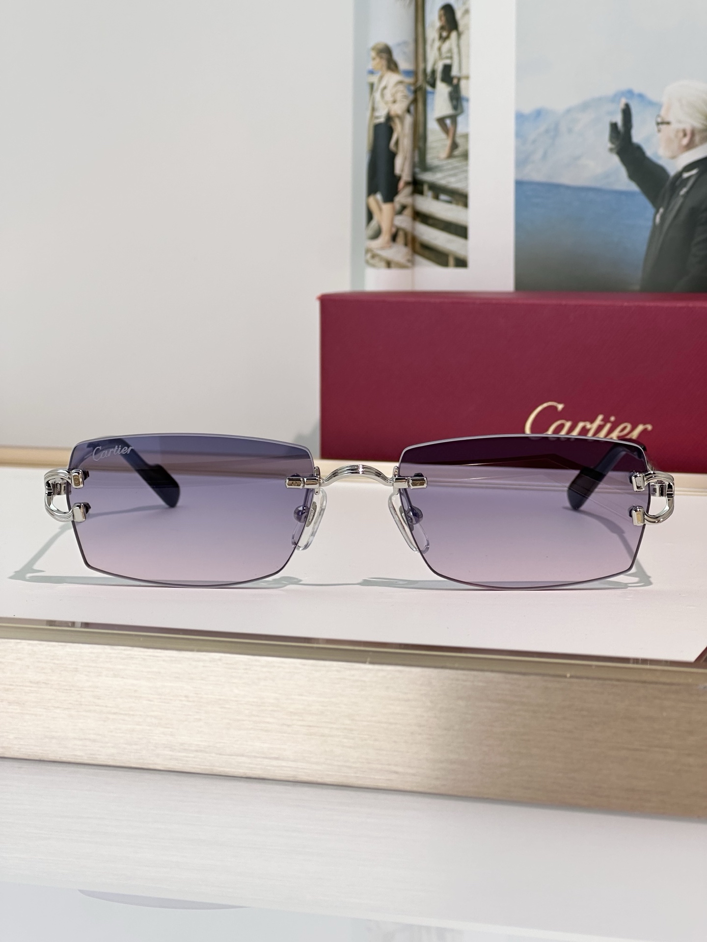 Designer Sunglasses CT0550S