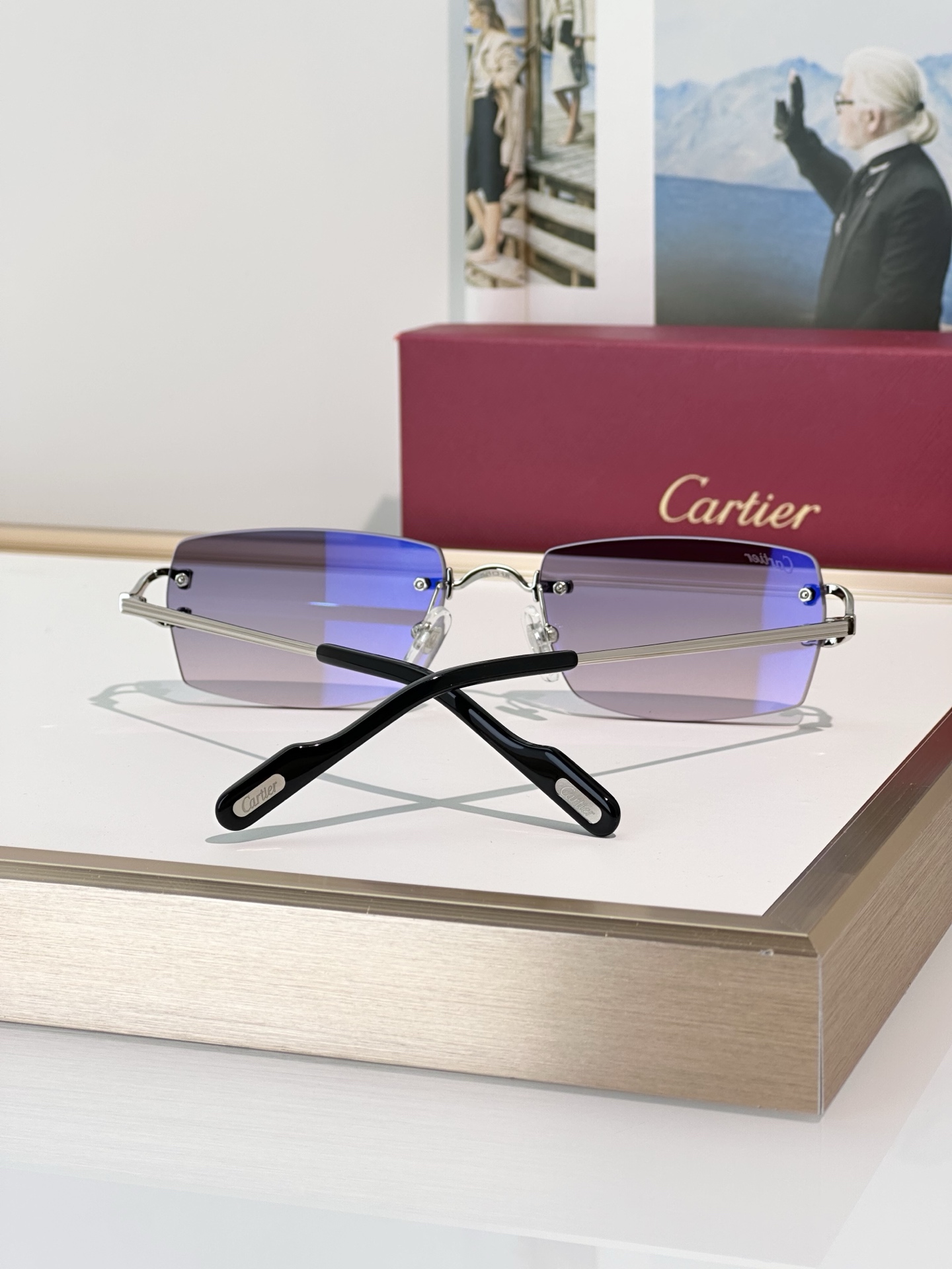 Designer Sunglasses CT0550S