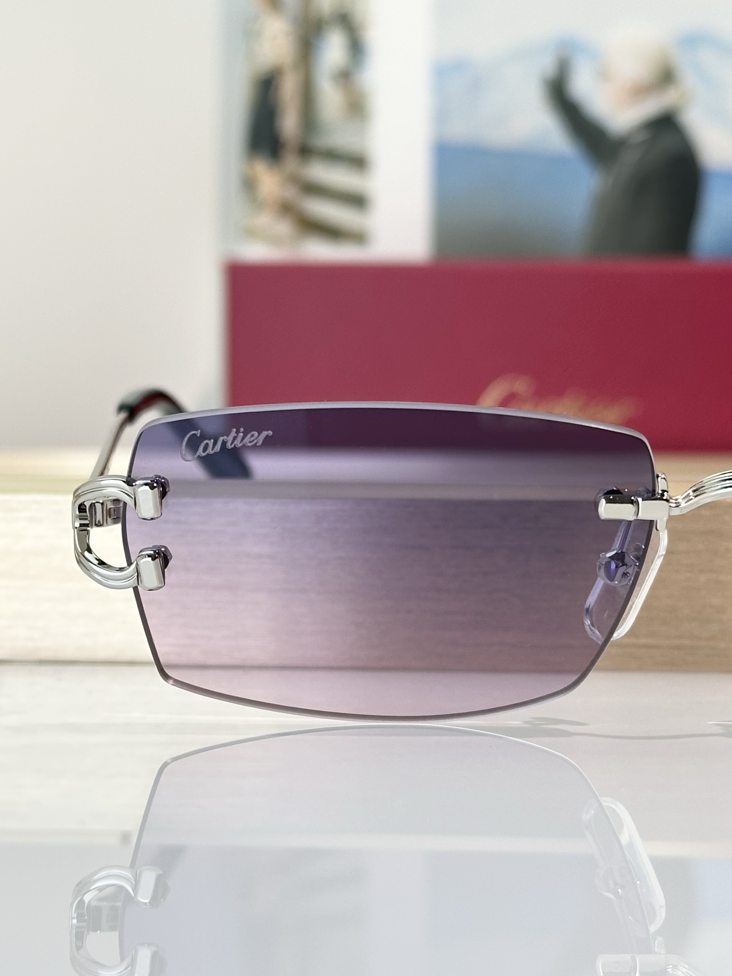 Designer Sunglasses CT0550S