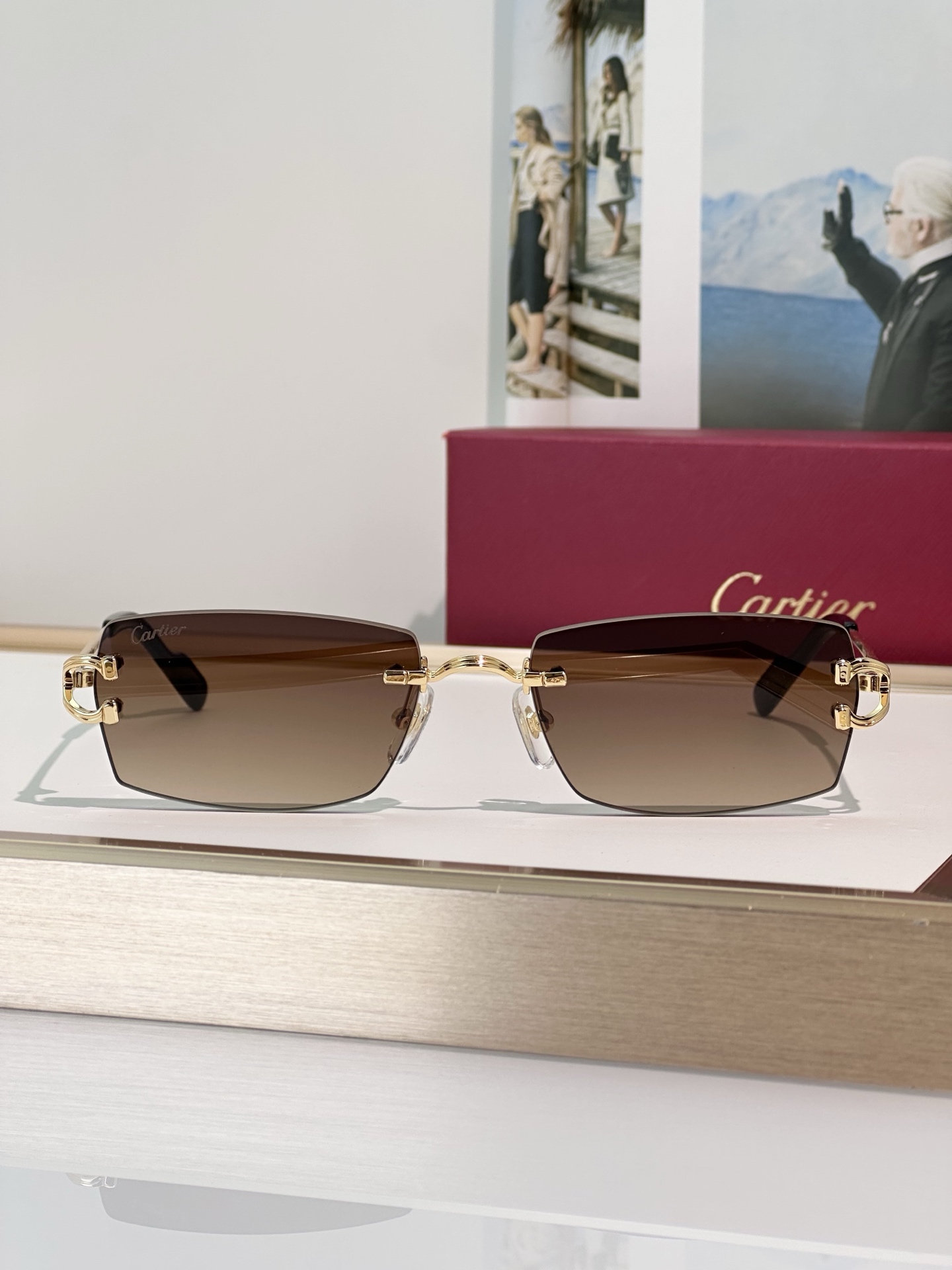 Designer Sunglasses CT0550S