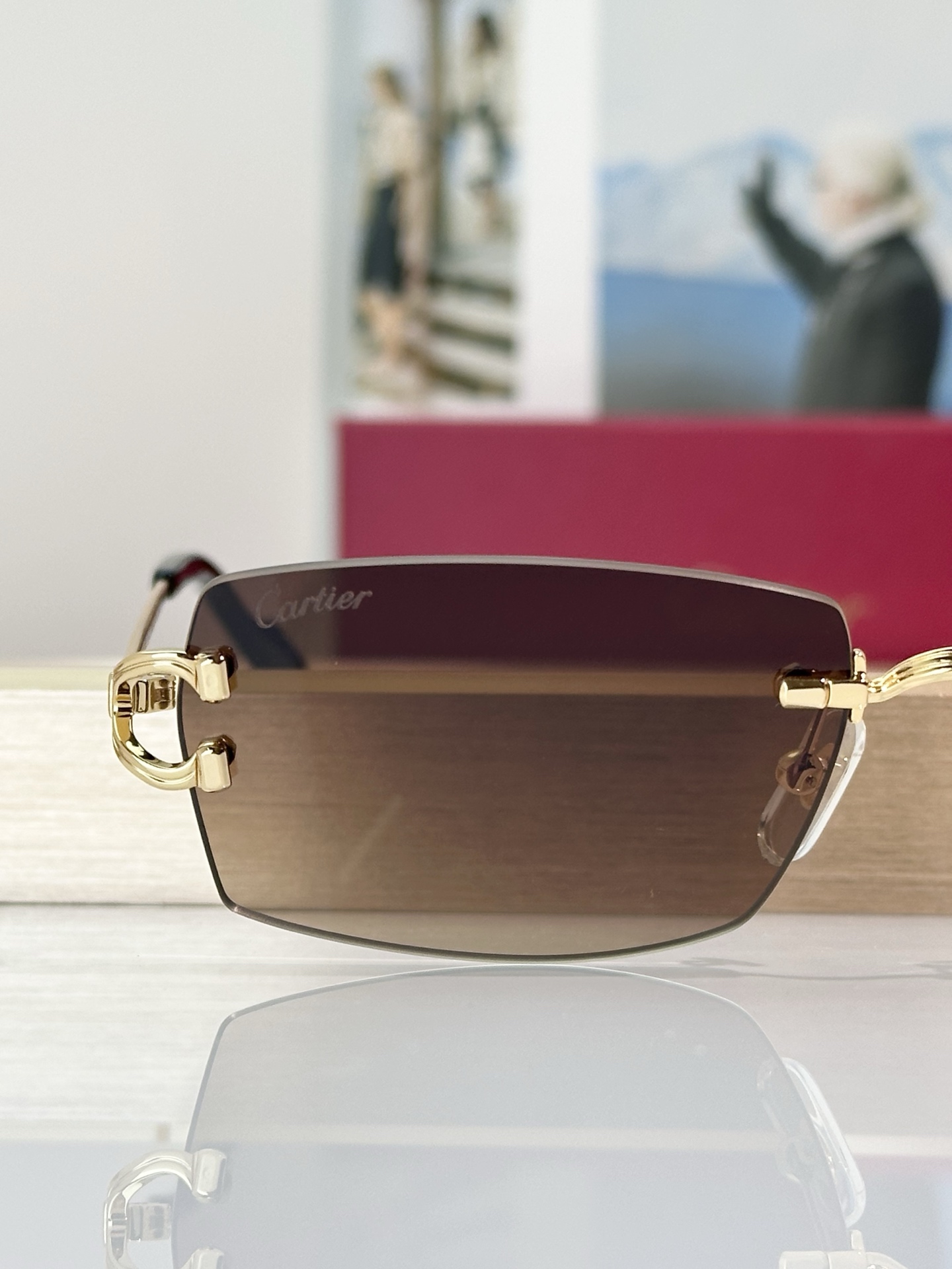 Designer Sunglasses CT0550S