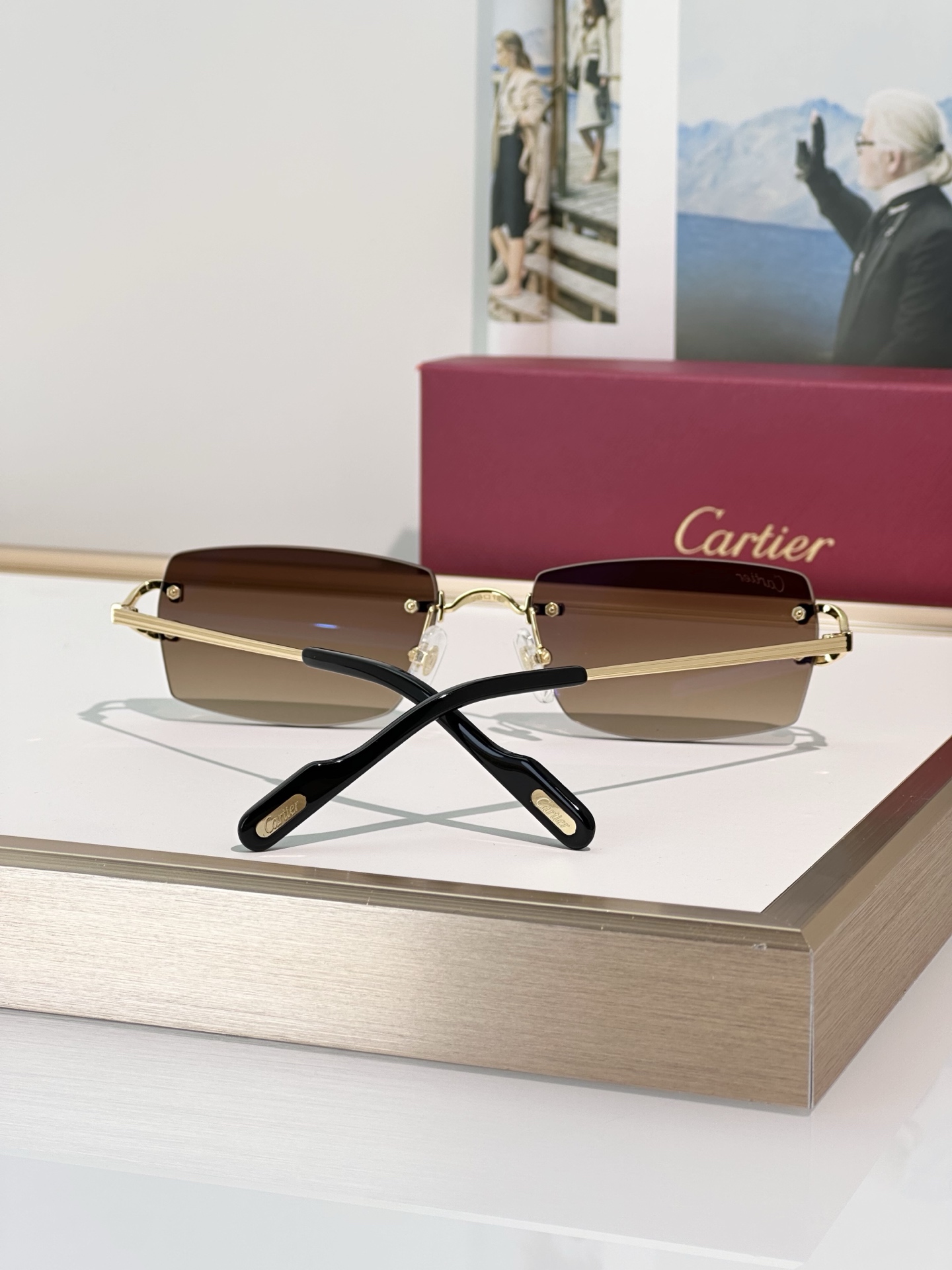 Designer Sunglasses CT0550S