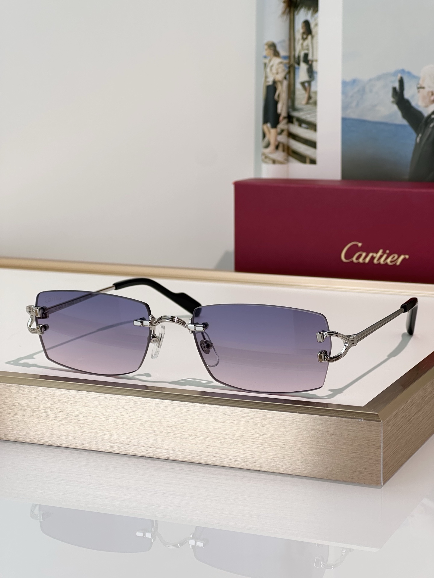 Designer Sunglasses CT0550S
