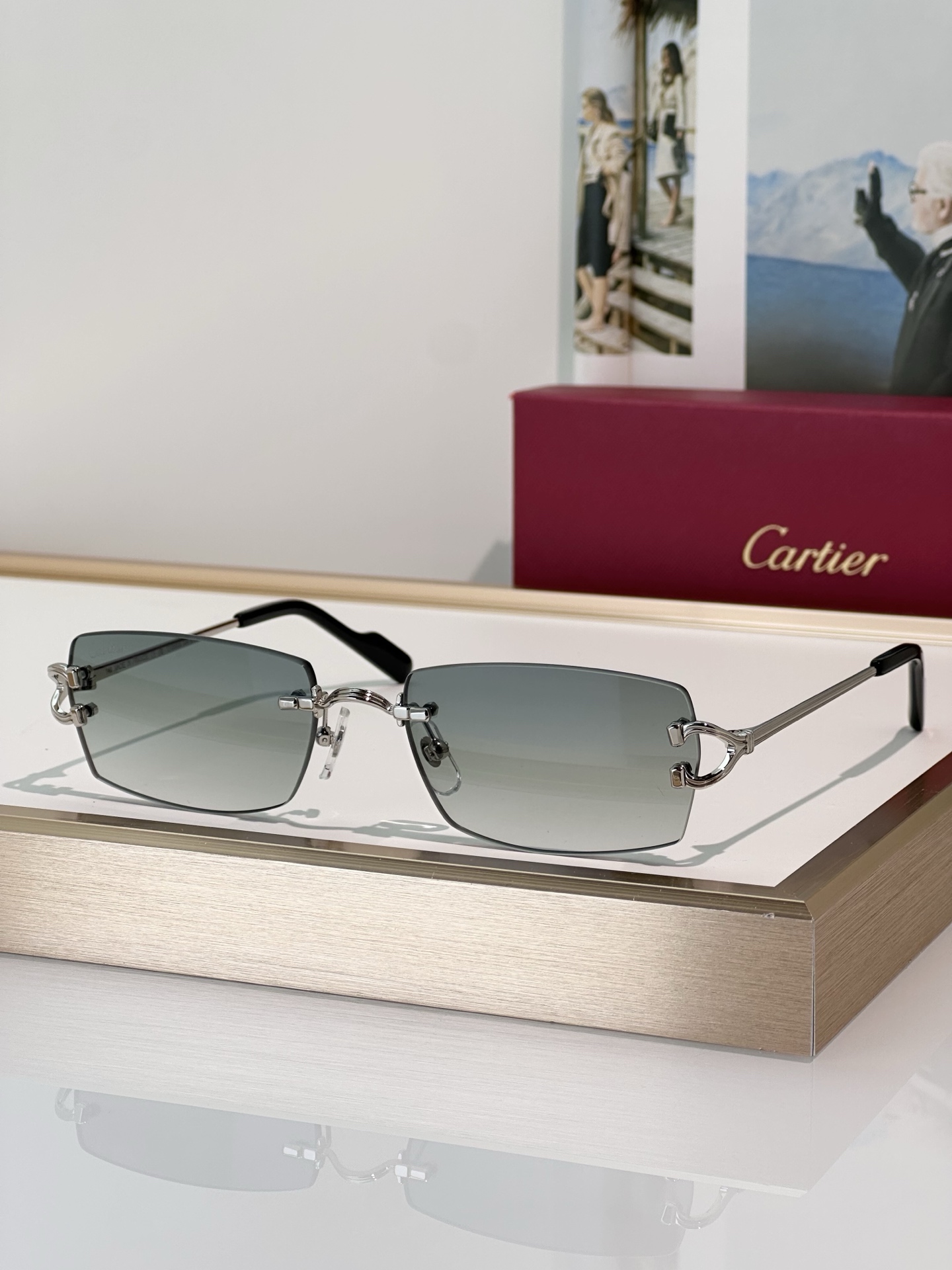 Designer Sunglasses CT0550S