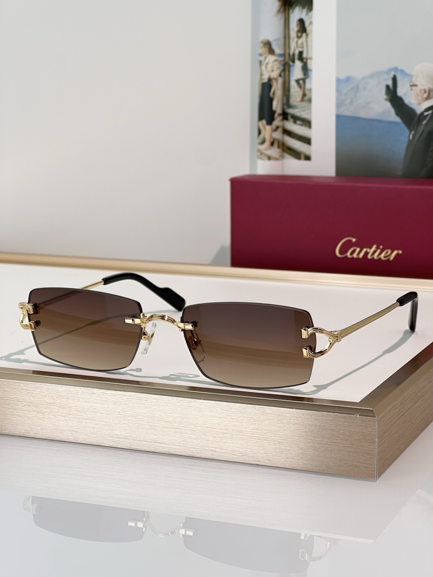 Designer Sunglasses CT0550S
