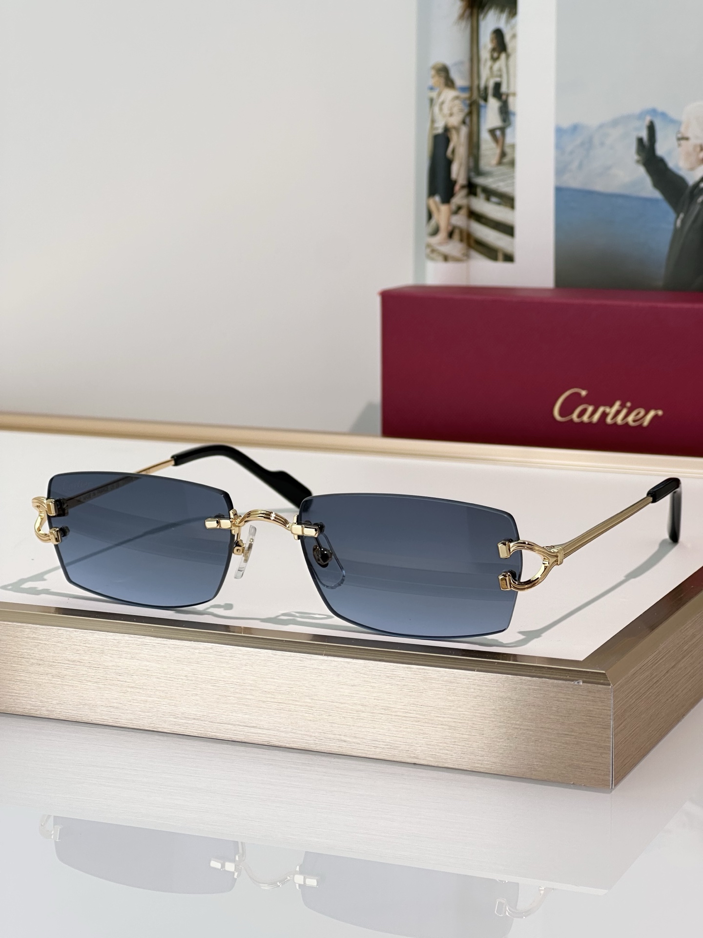 Designer Sunglasses CT0550S