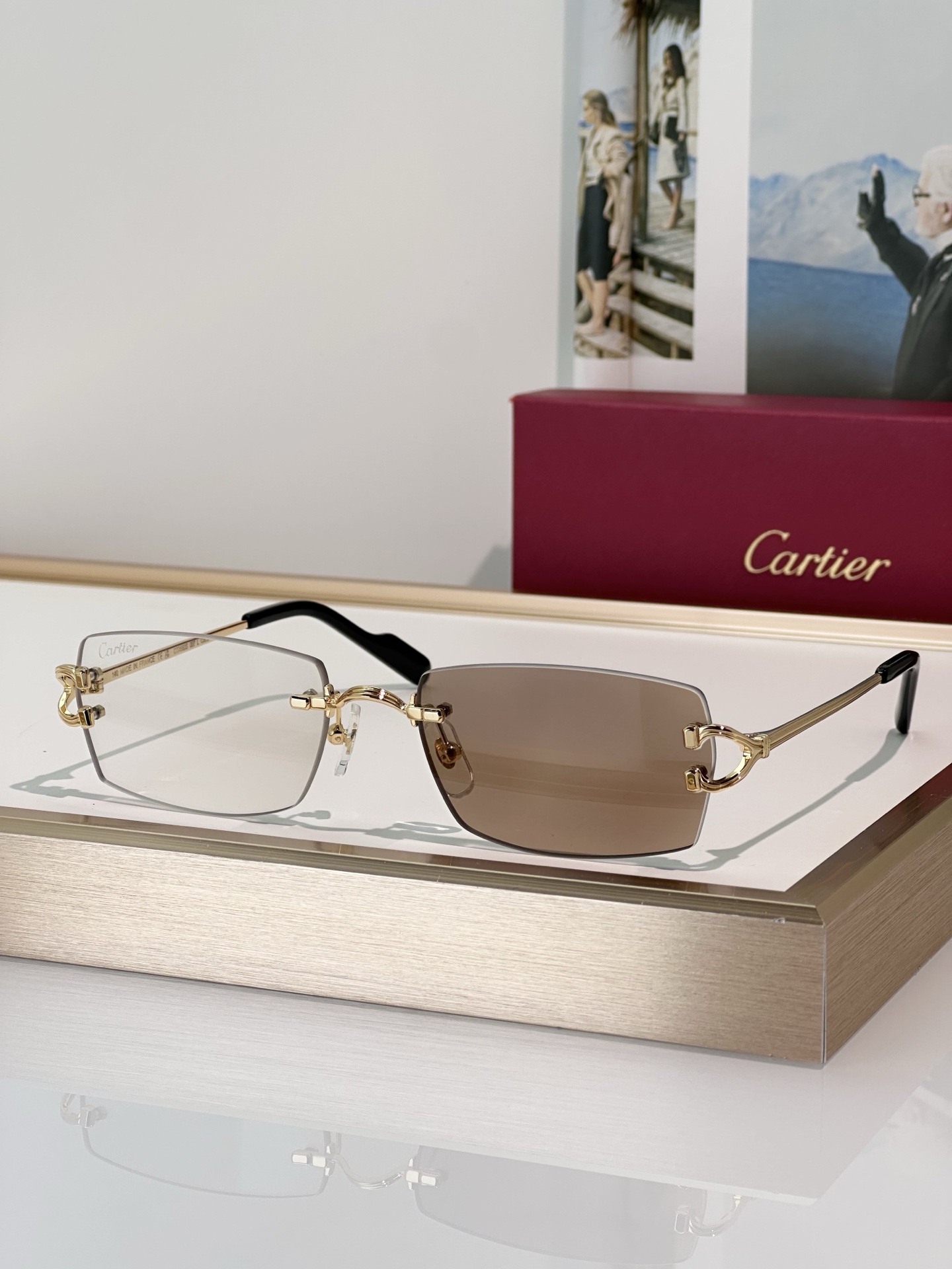 Designer Sunglasses CT0550S