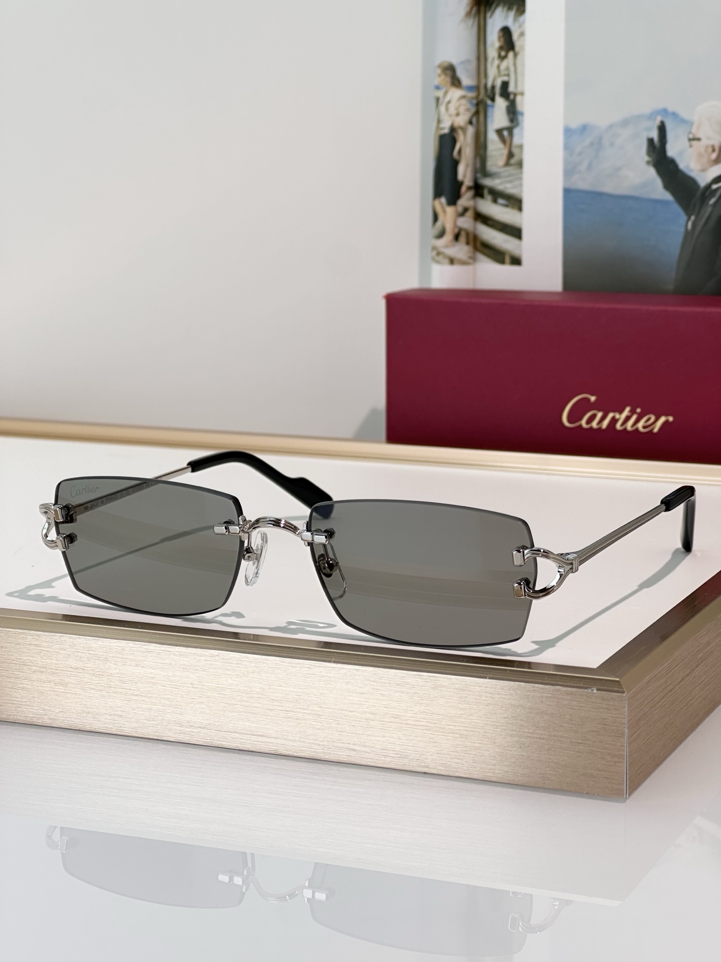 Designer Sunglasses CT0550S