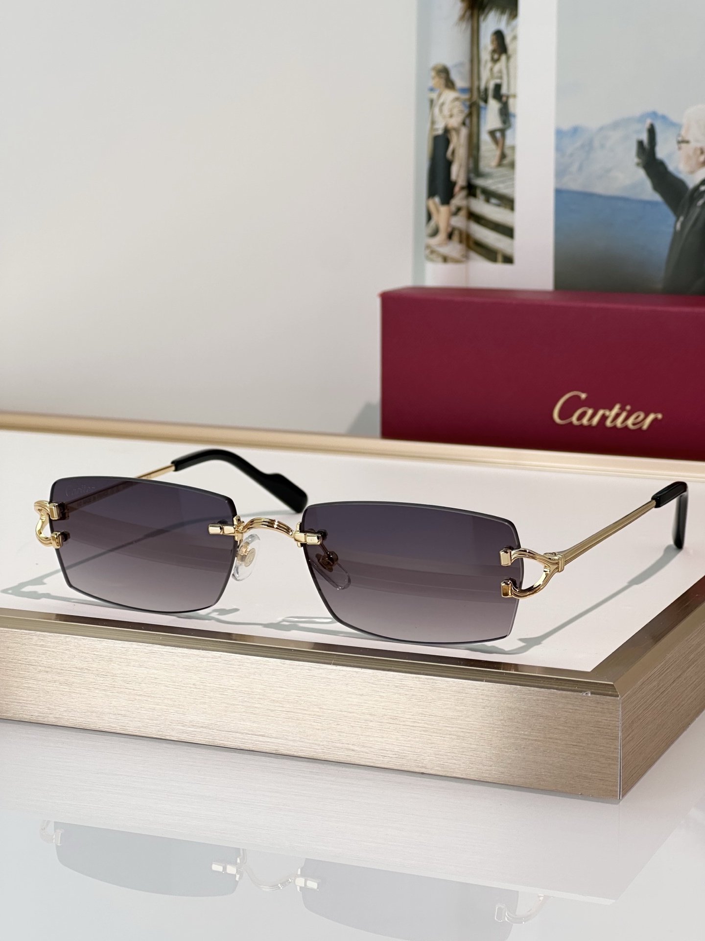 Designer Sunglasses CT0550S
