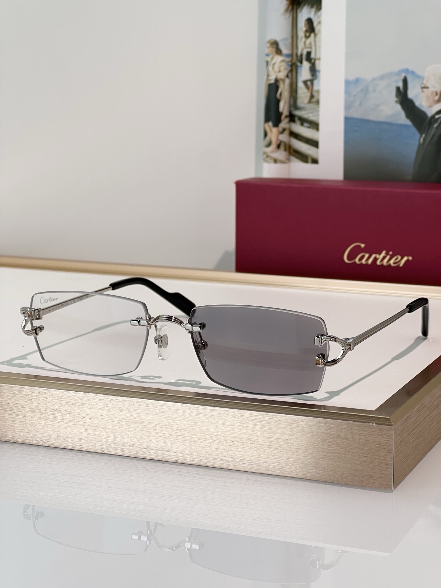 Designer Sunglasses CT0550S