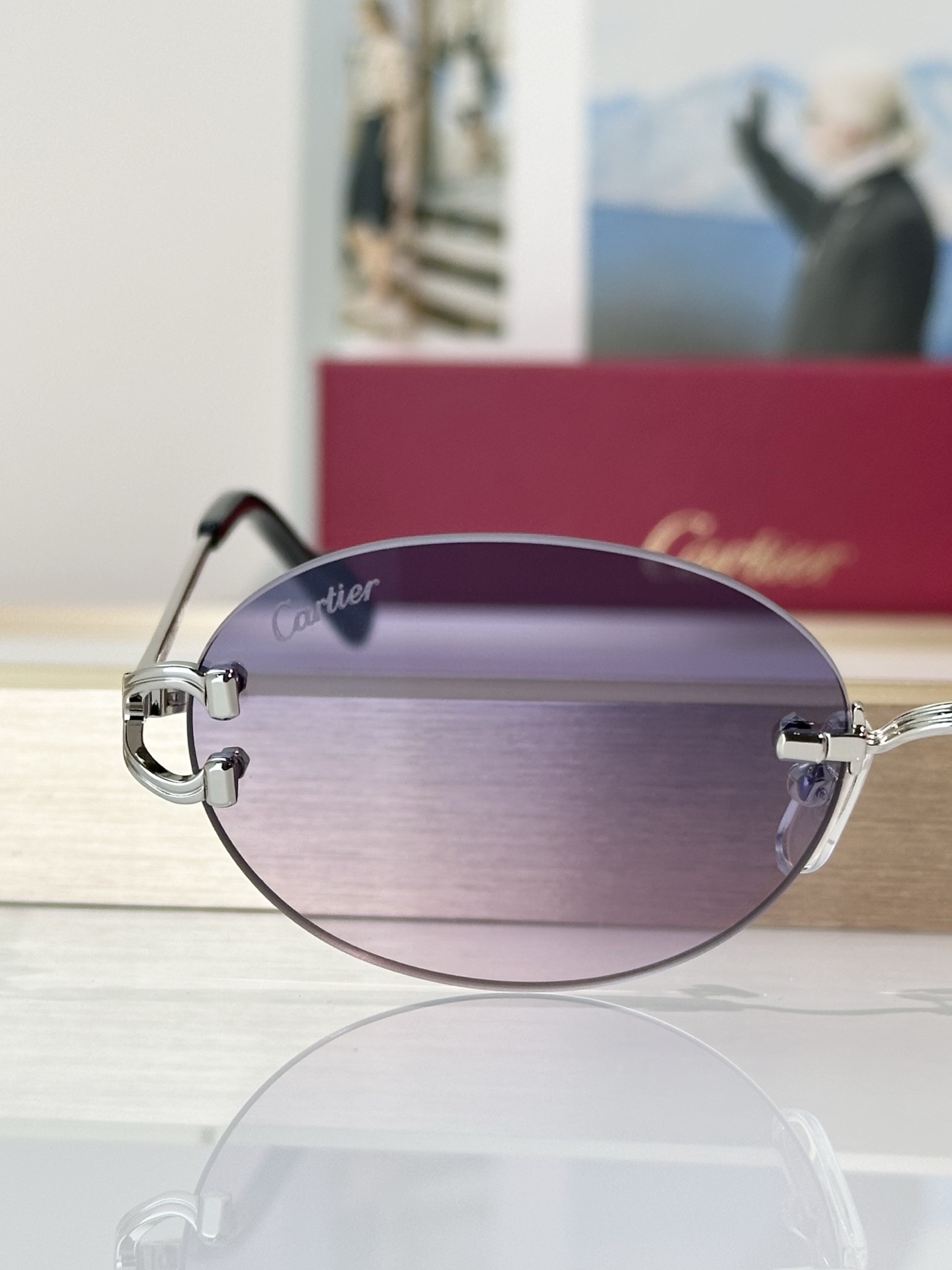 Designer Sunglasses CT0551S
