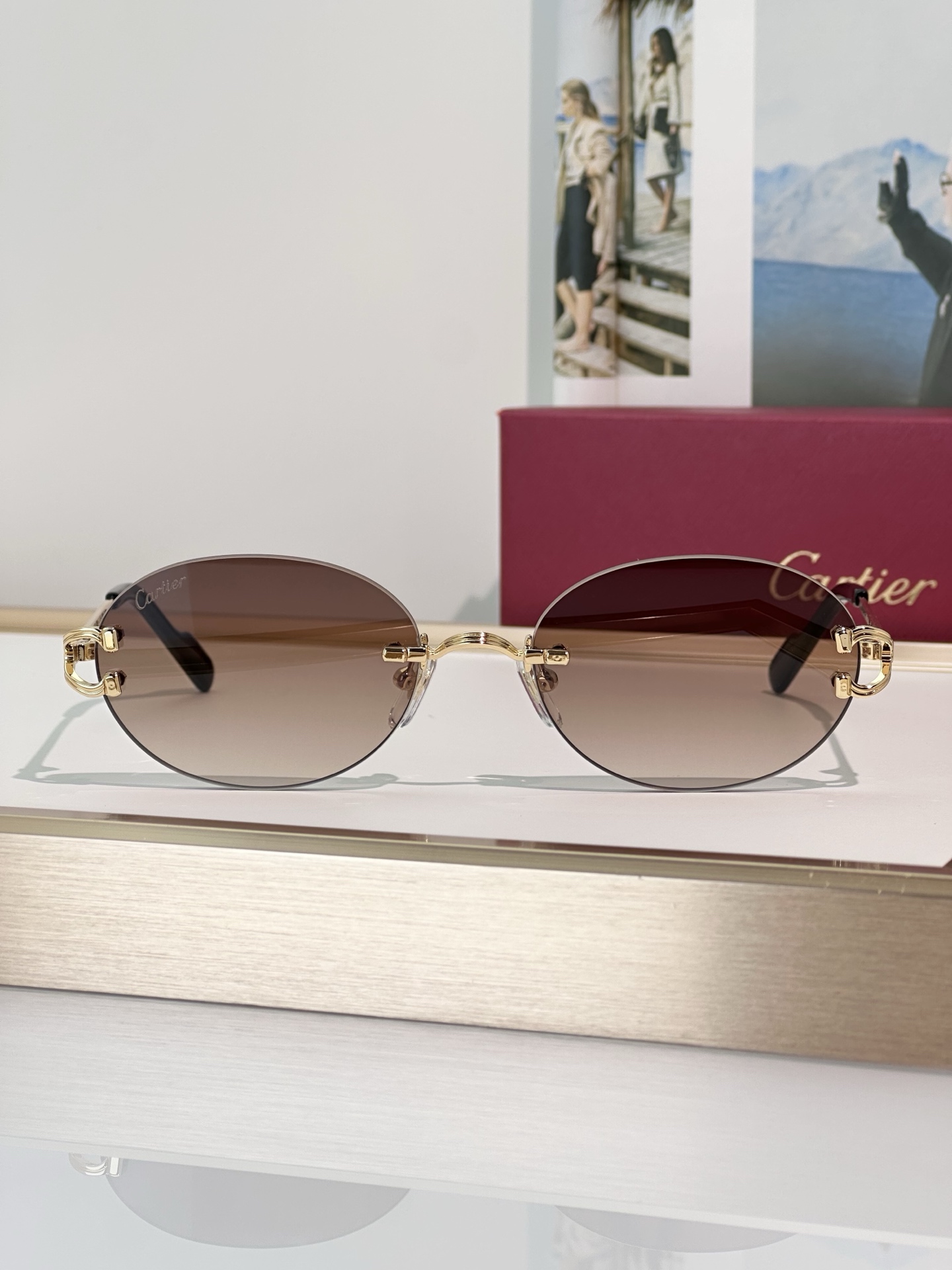 Designer Sunglasses CT0551S