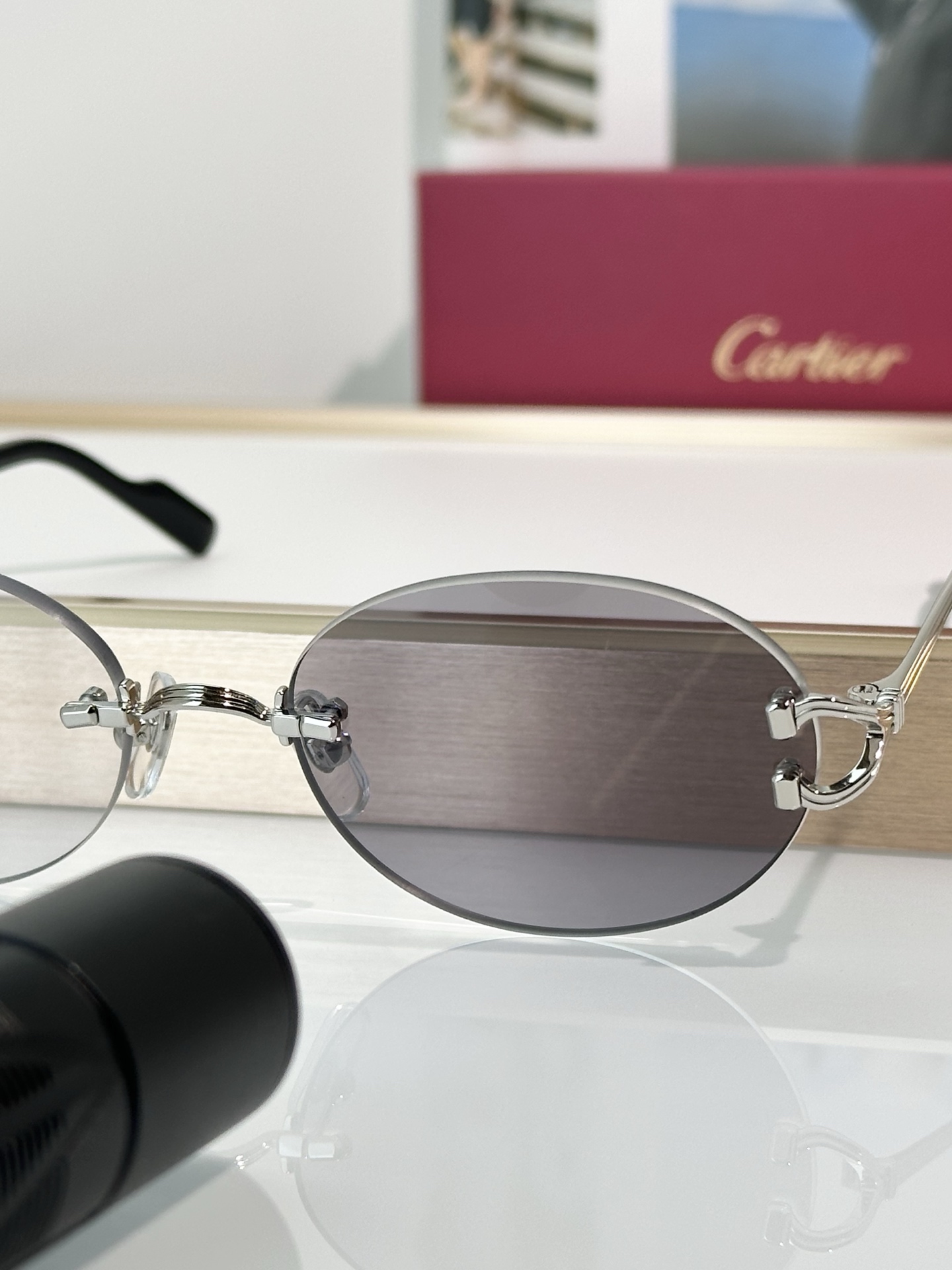 Designer Sunglasses CT0551S