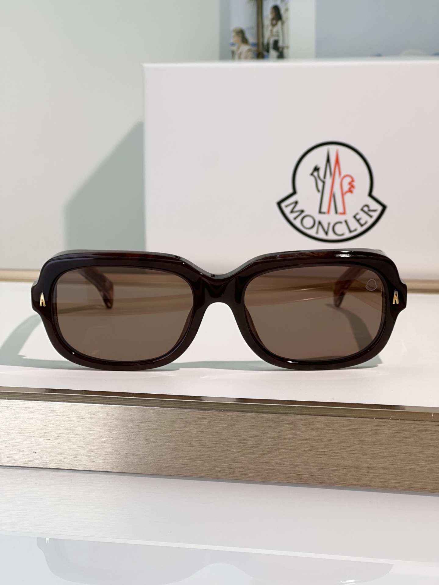 Designer Sunglasses ME6008