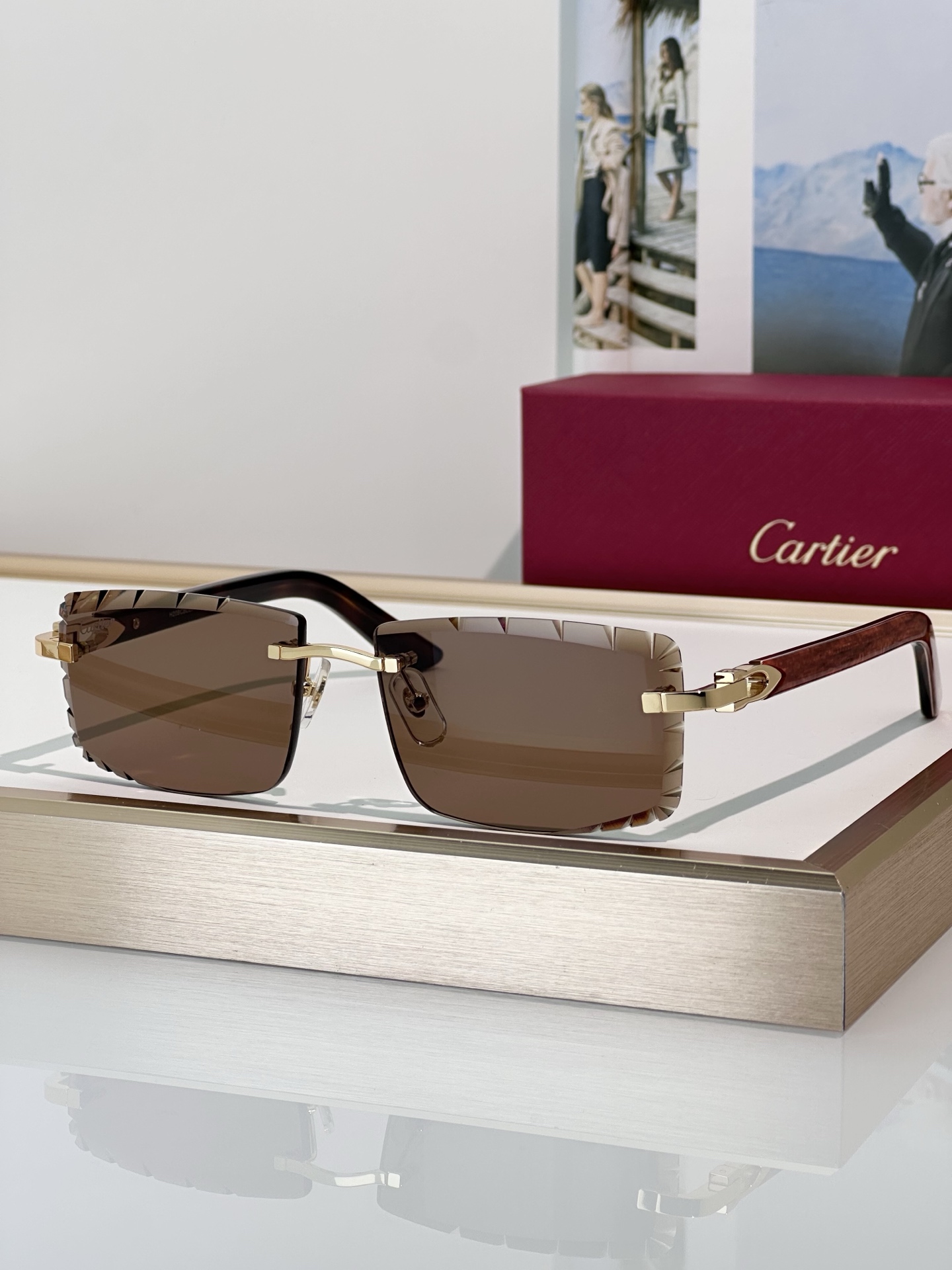 Designer Sunglasses CT0440S